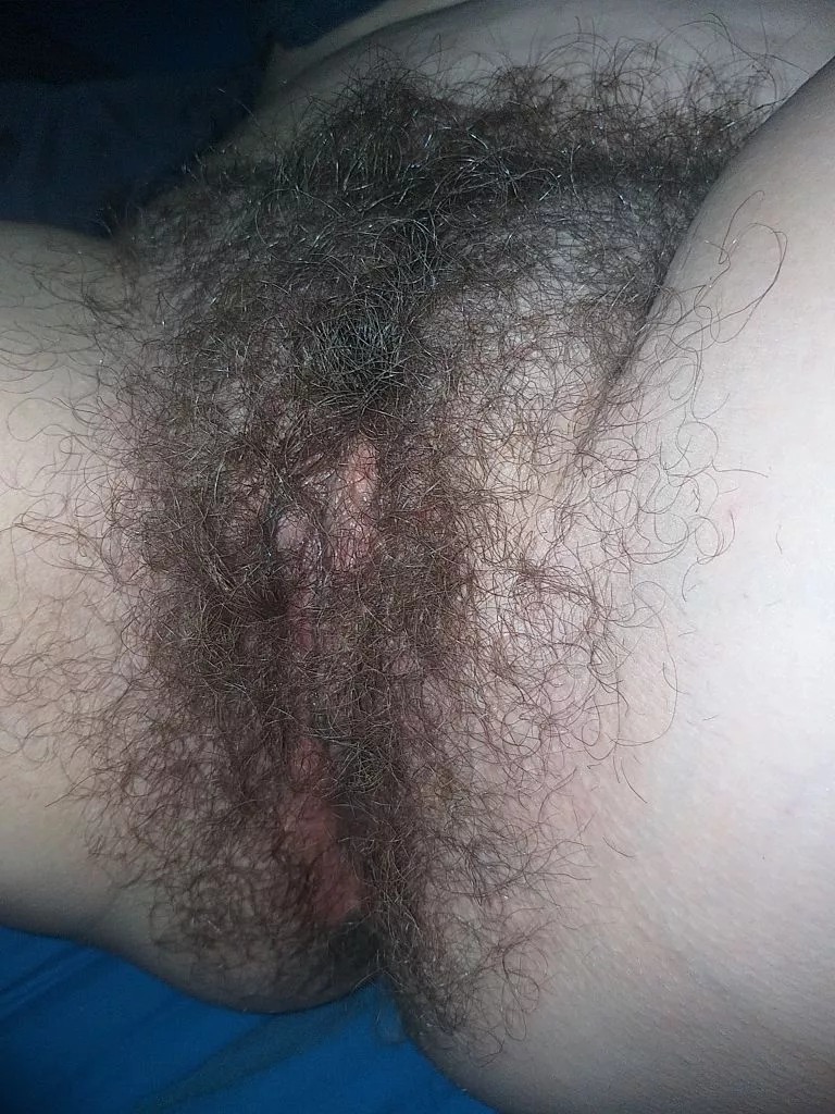 Hairy pussy town