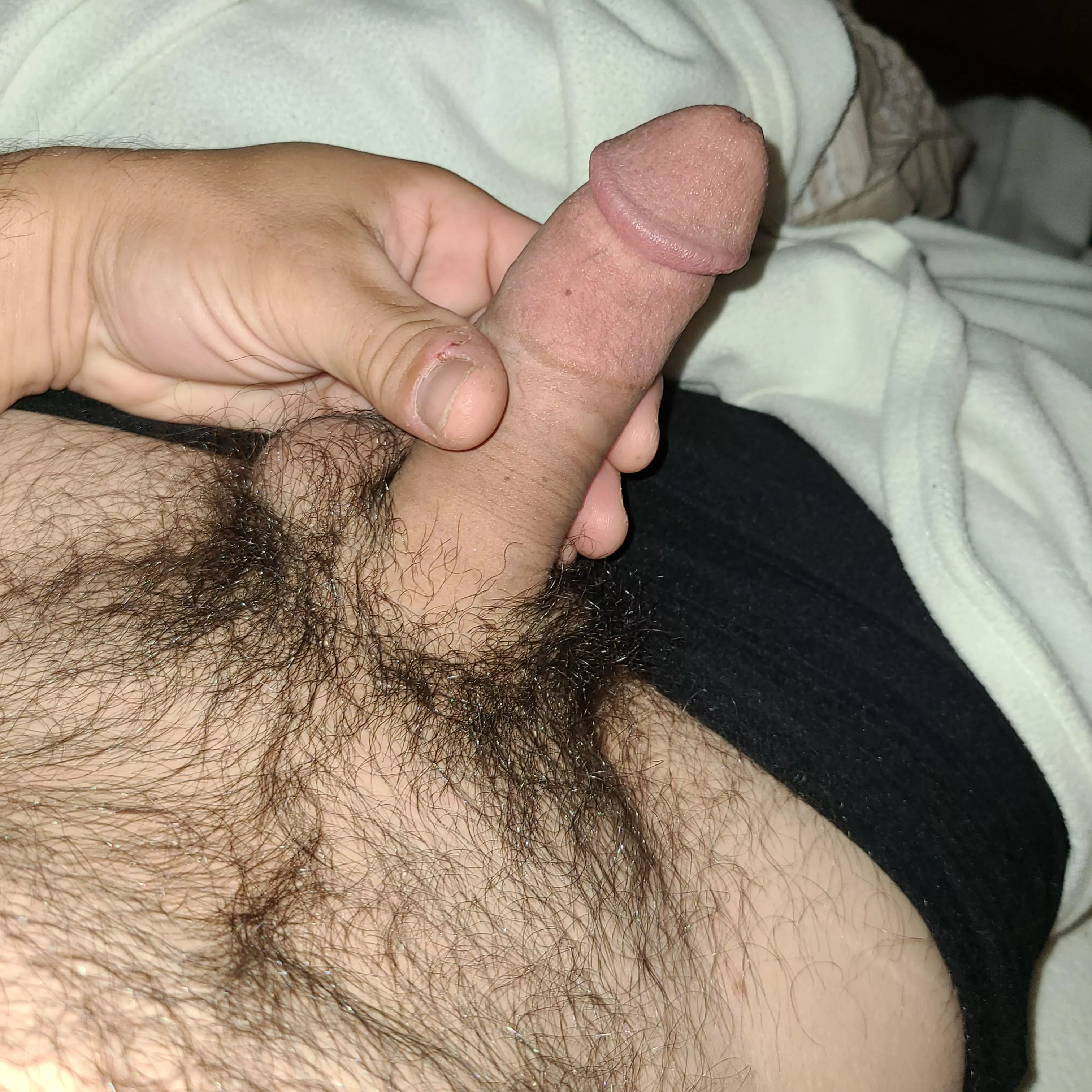 Hairy semi-hard