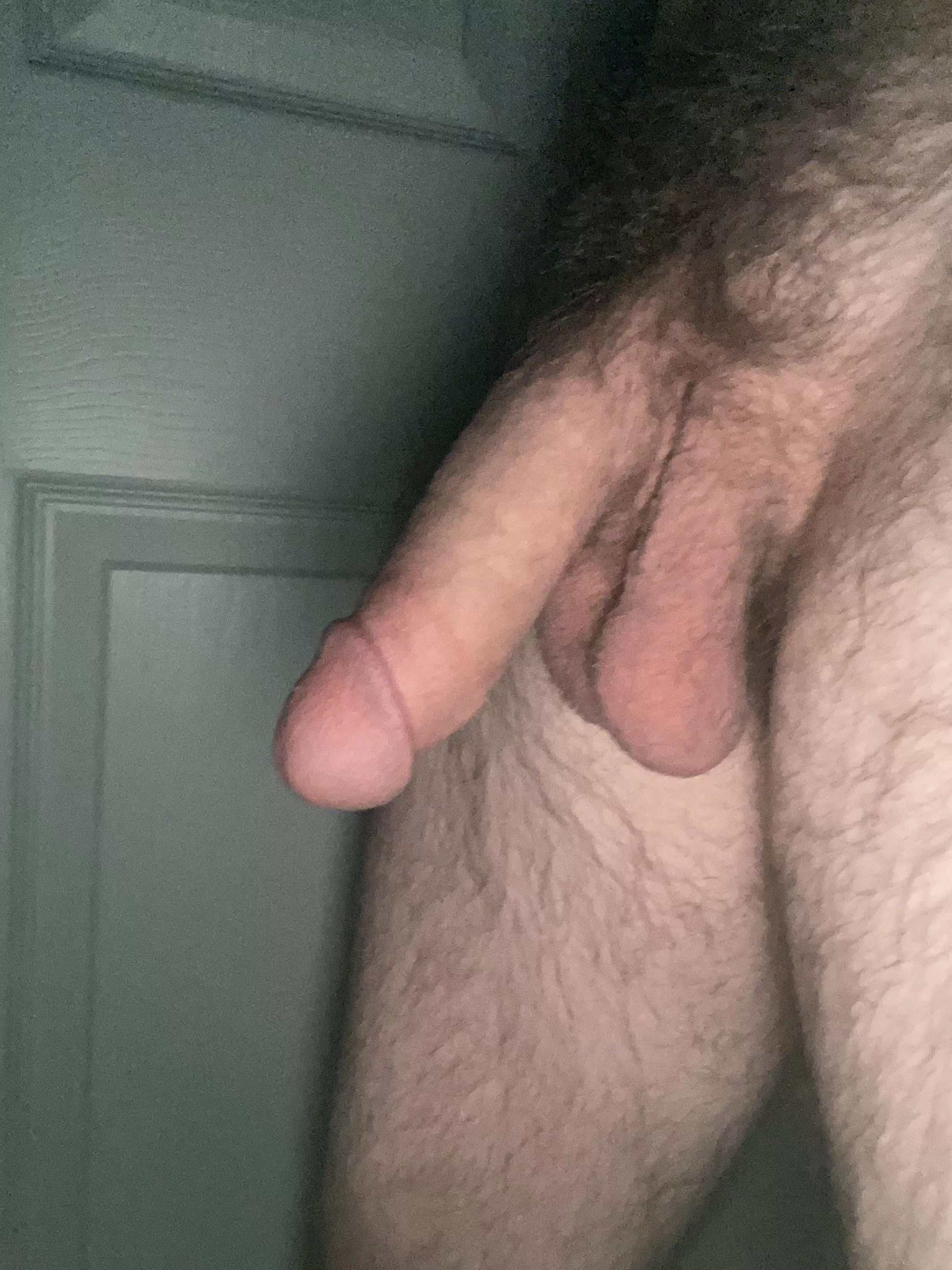 Hairy Soft Dick