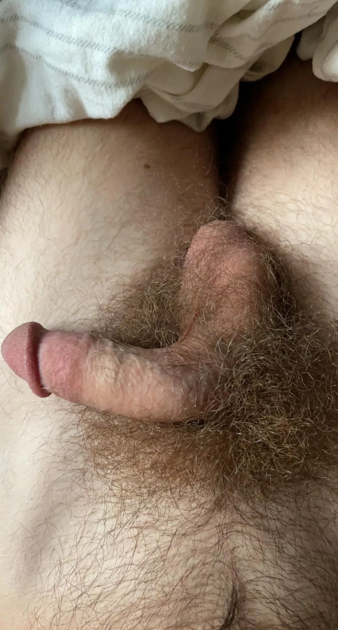 Hairy softie