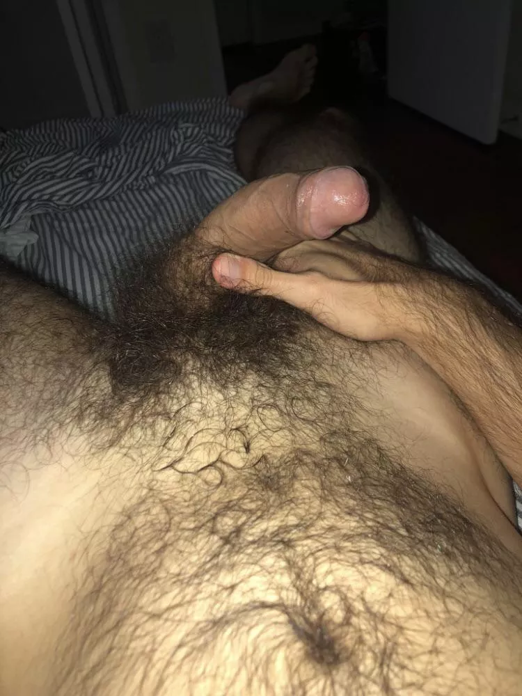 Hairy uncut cock smells the best