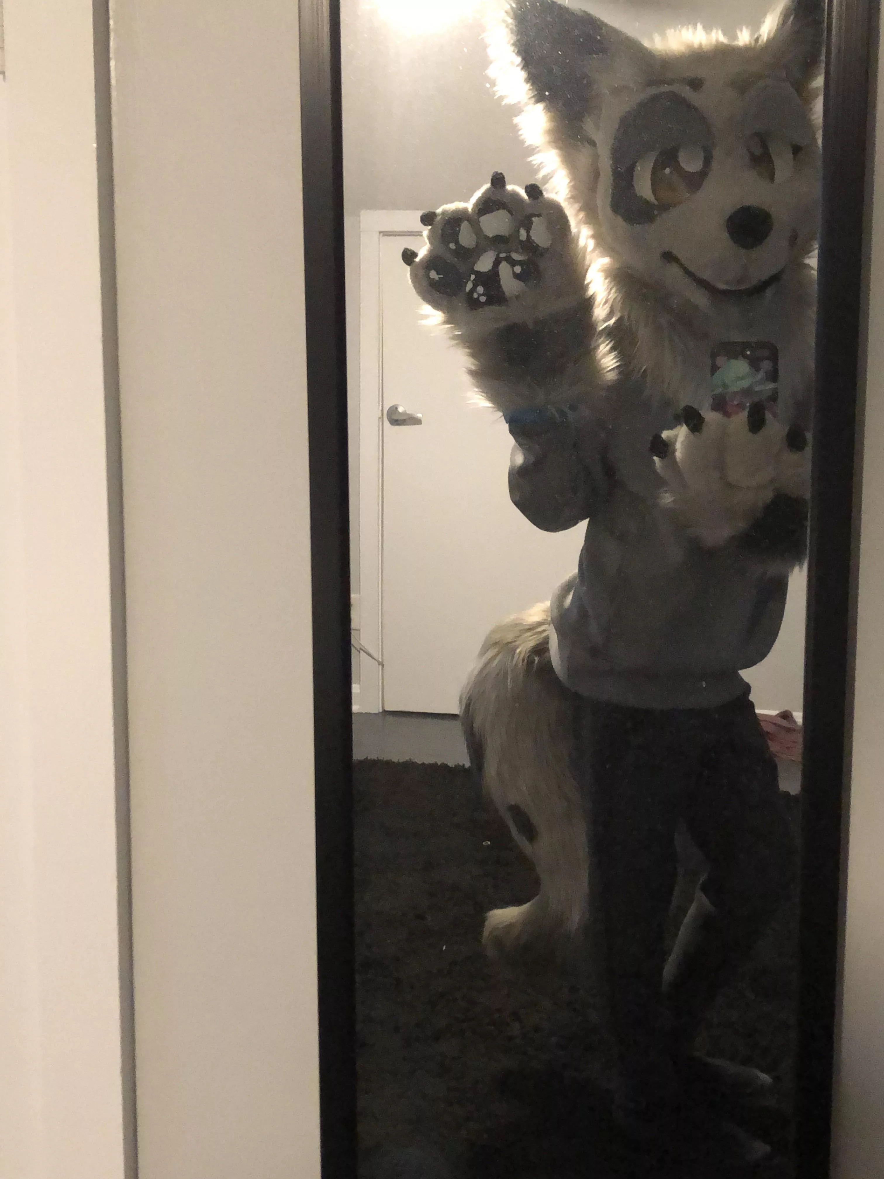 🦊🖤🤍 Happy fursuit Friday! Hope you all have a good weekend! 🤍🖤🦊