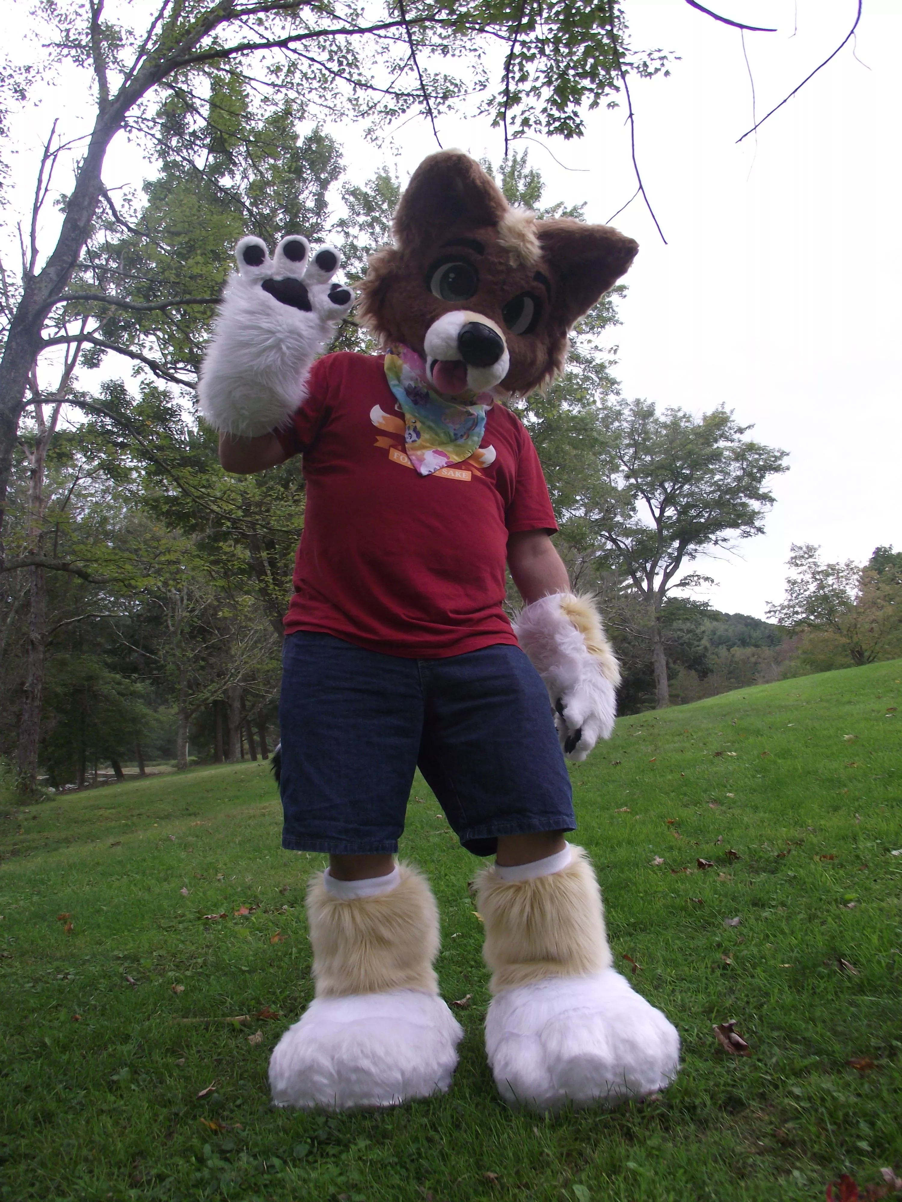 Happy Fursuit Friday! Magi in the park! Bark bark! Picture by Icywaterpupper