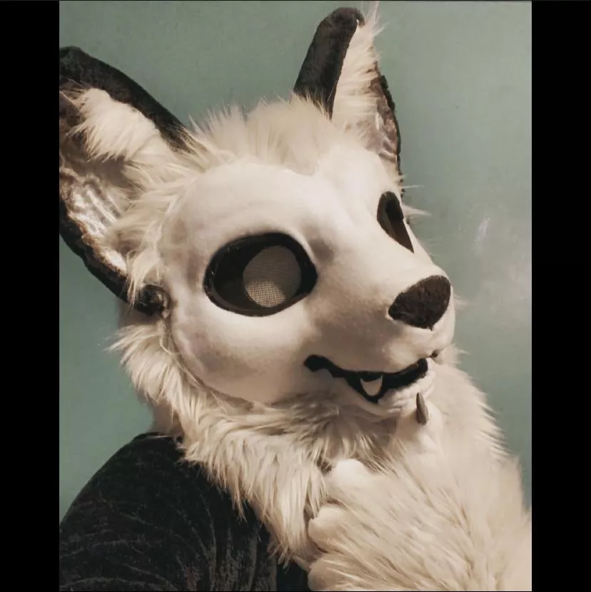 Happy Fursuit Friday! This boy still needs a name.