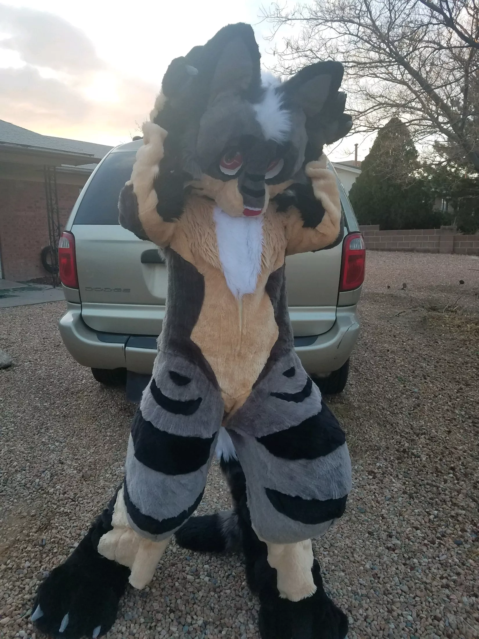 Happy Fursuit Friday! This is Mars (suit by DarkmoonSilverCreations)