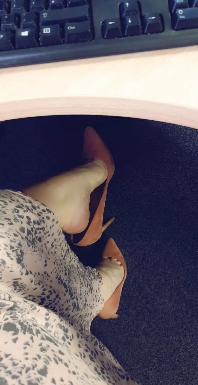 Happy Hump Day! Plenty of room under my desk if anyone wants to sneak in ðŸ¤«ðŸ˜‰