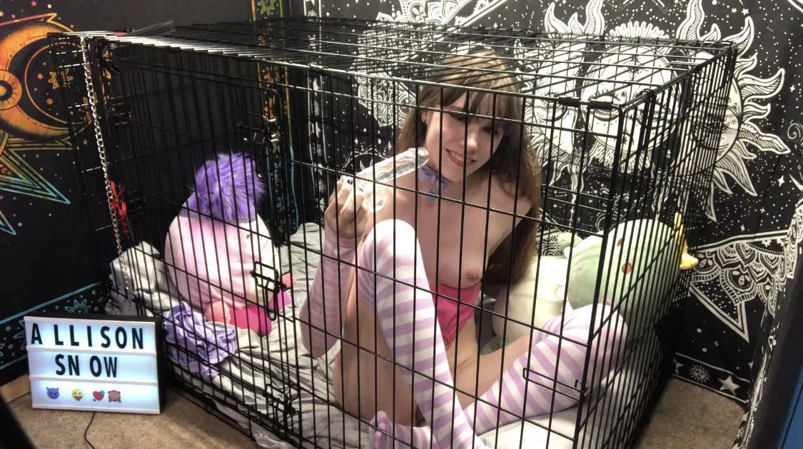 Happy in my cage🥰