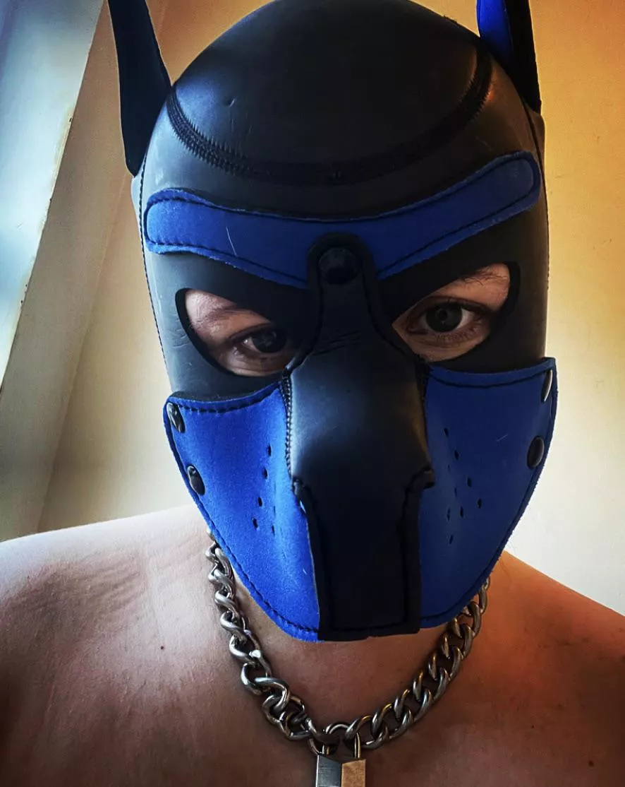 Happy Monday pups!