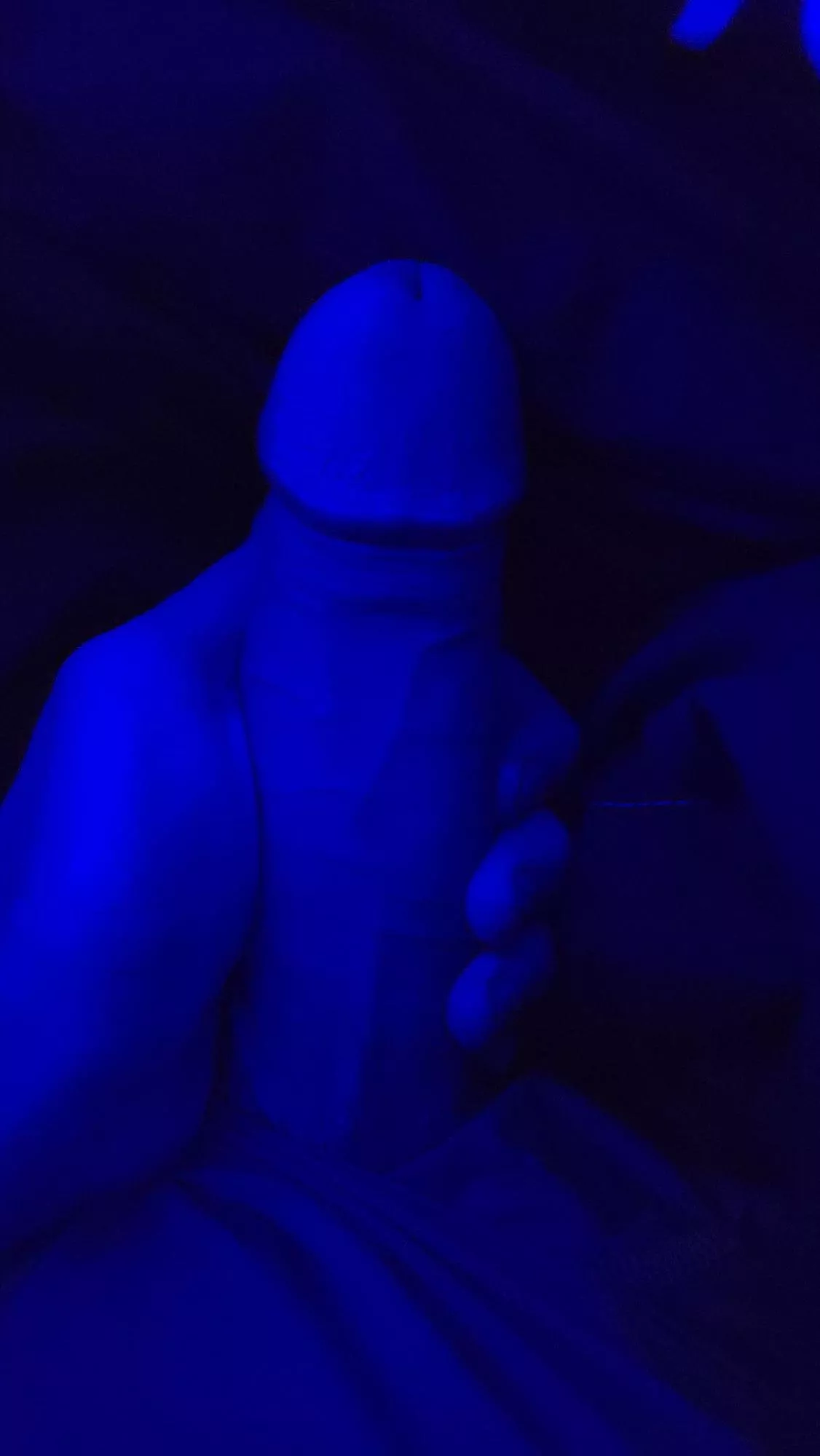 Hard cock ready to please all💦 $3 subs🍆daily uploads🤤Link and trial in comments