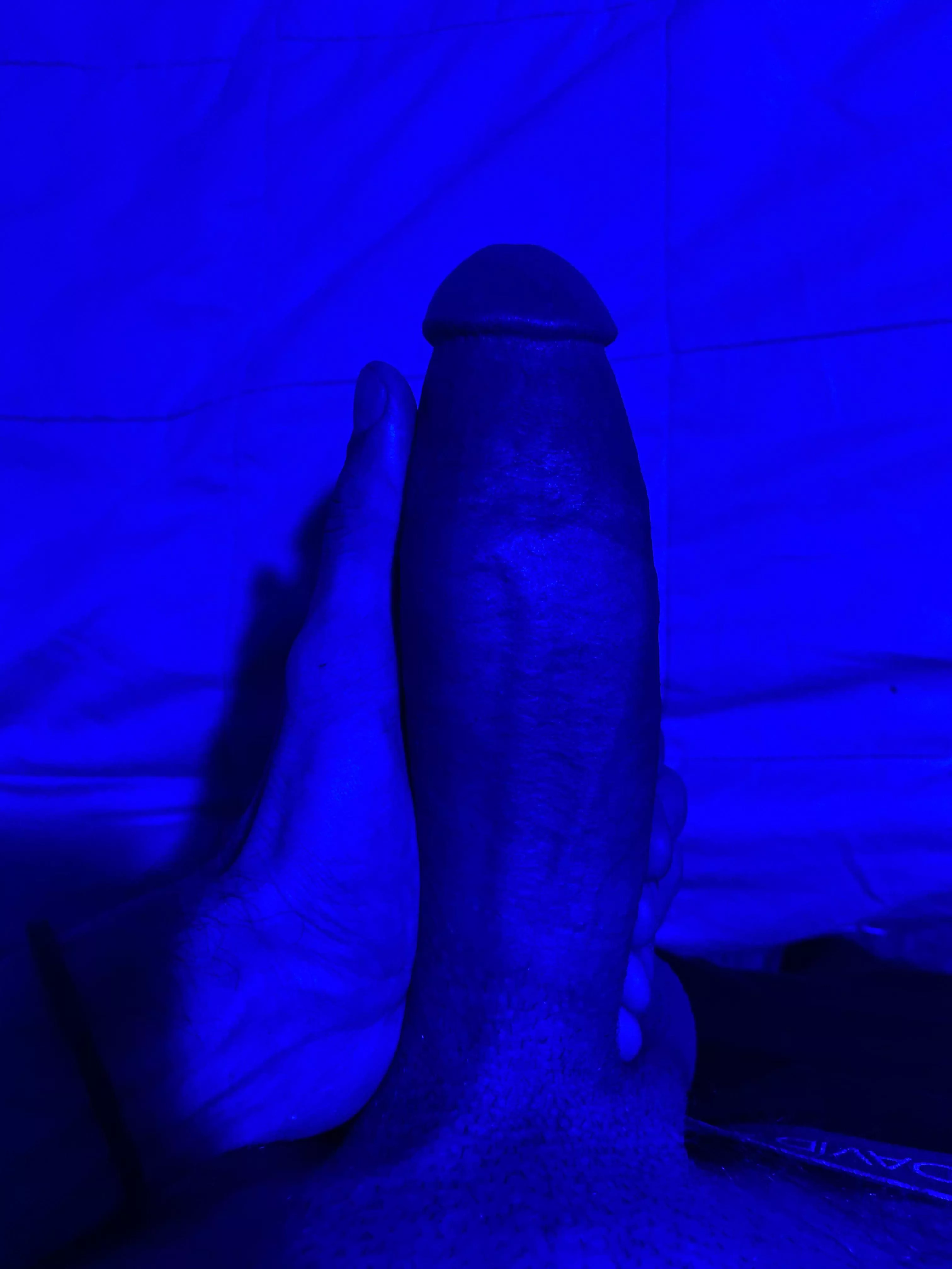 hard dick blues