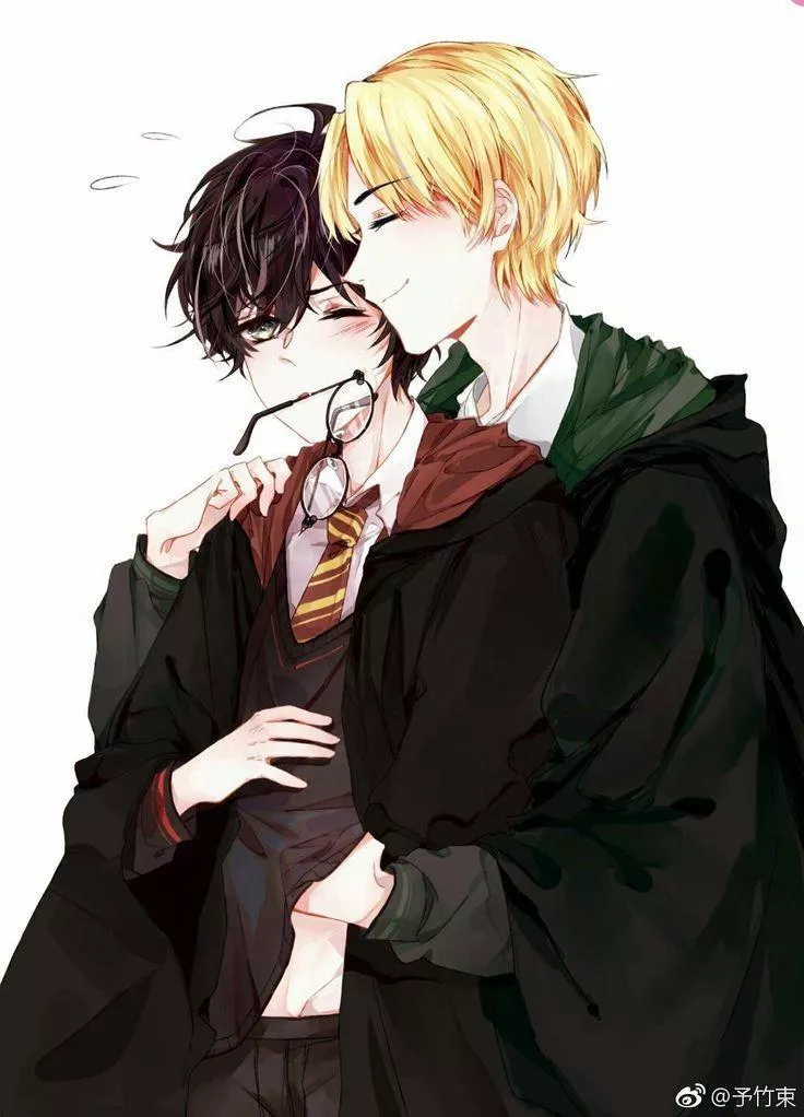 Harry and Draco lol [Harry Potter]