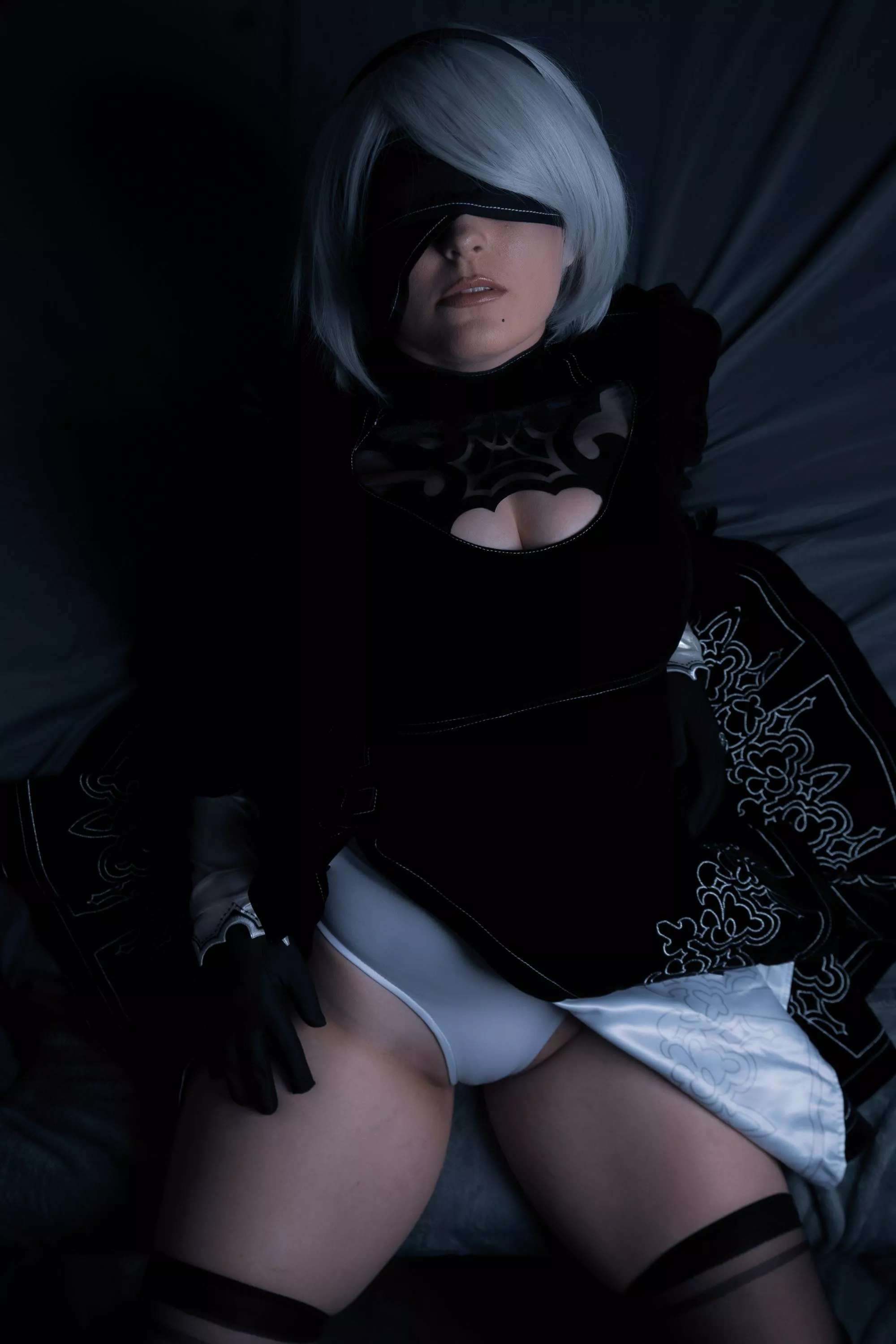 Have you seen the 2B upskirt animation?