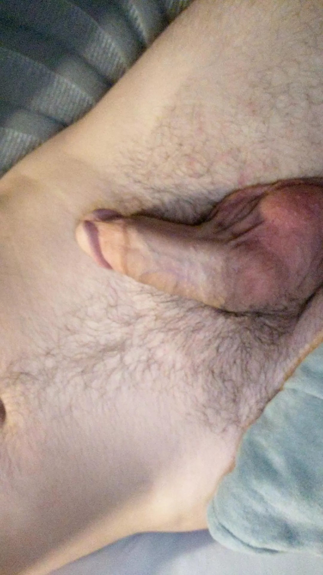 haven't even touched my cock yet and I'm starting to get hard.