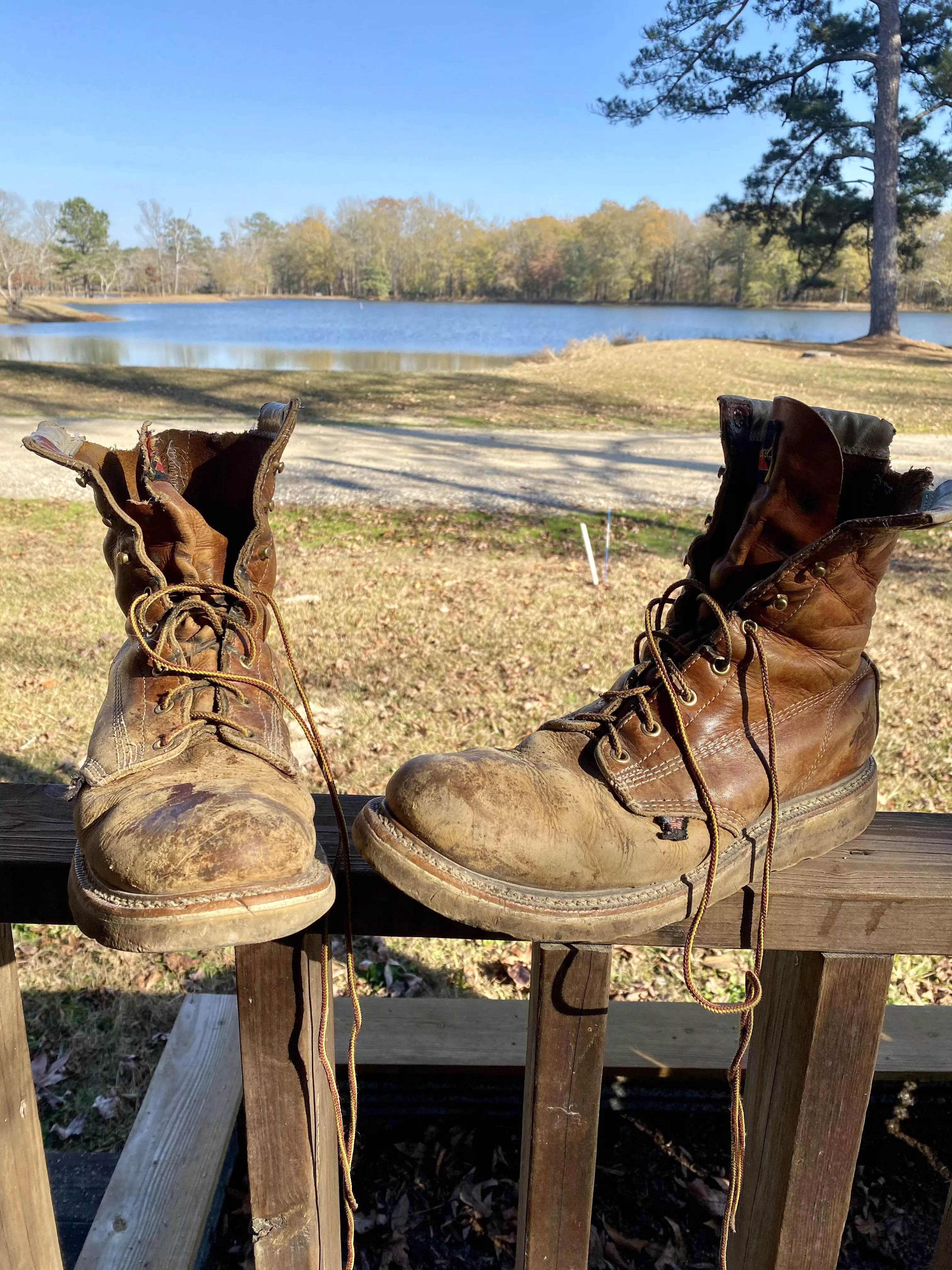 Heard y’all like thorogoods, I’ve had these for a few years. My Labrador ate the tops of them lol.