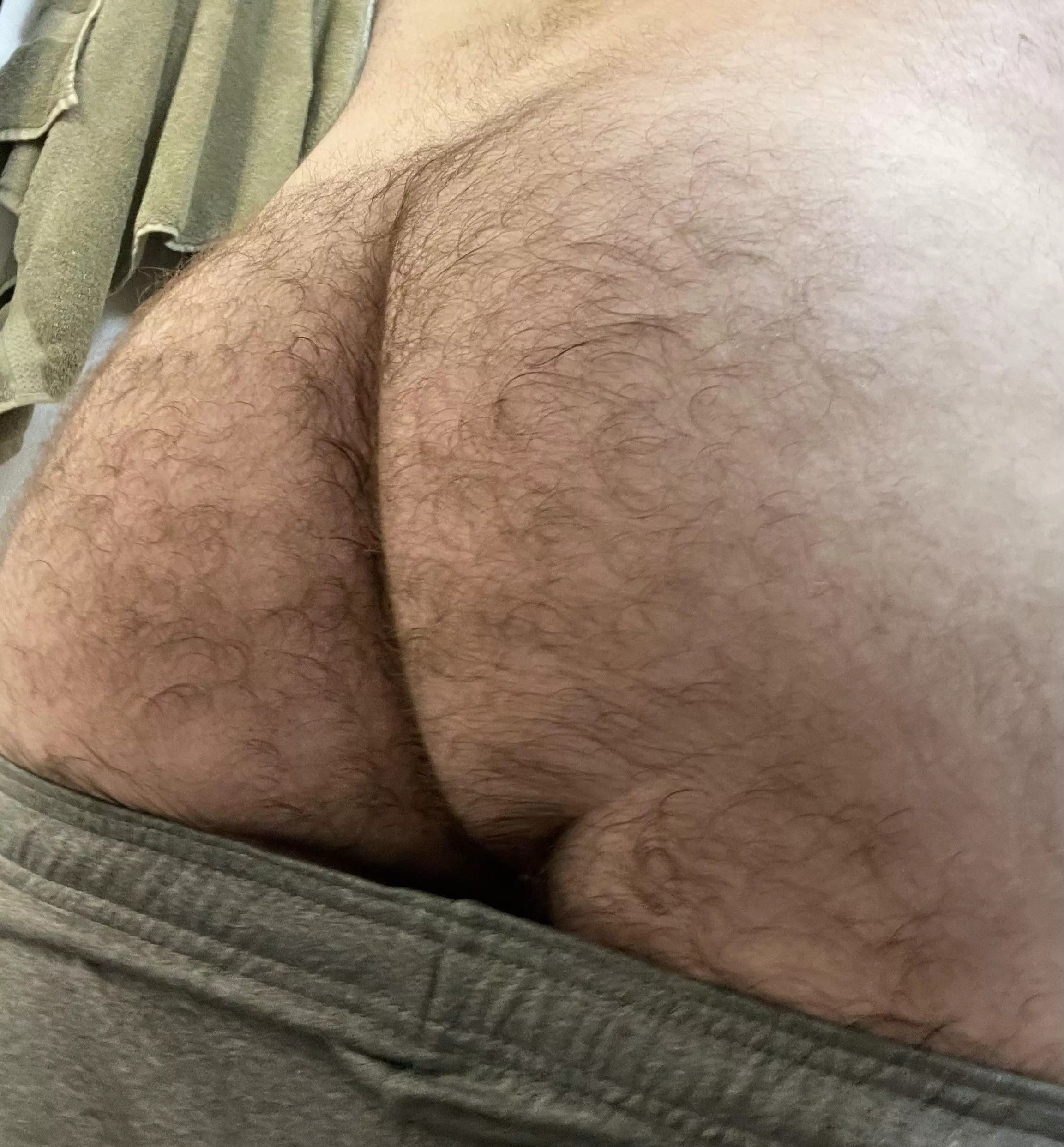 Heard you guys like hairy asses