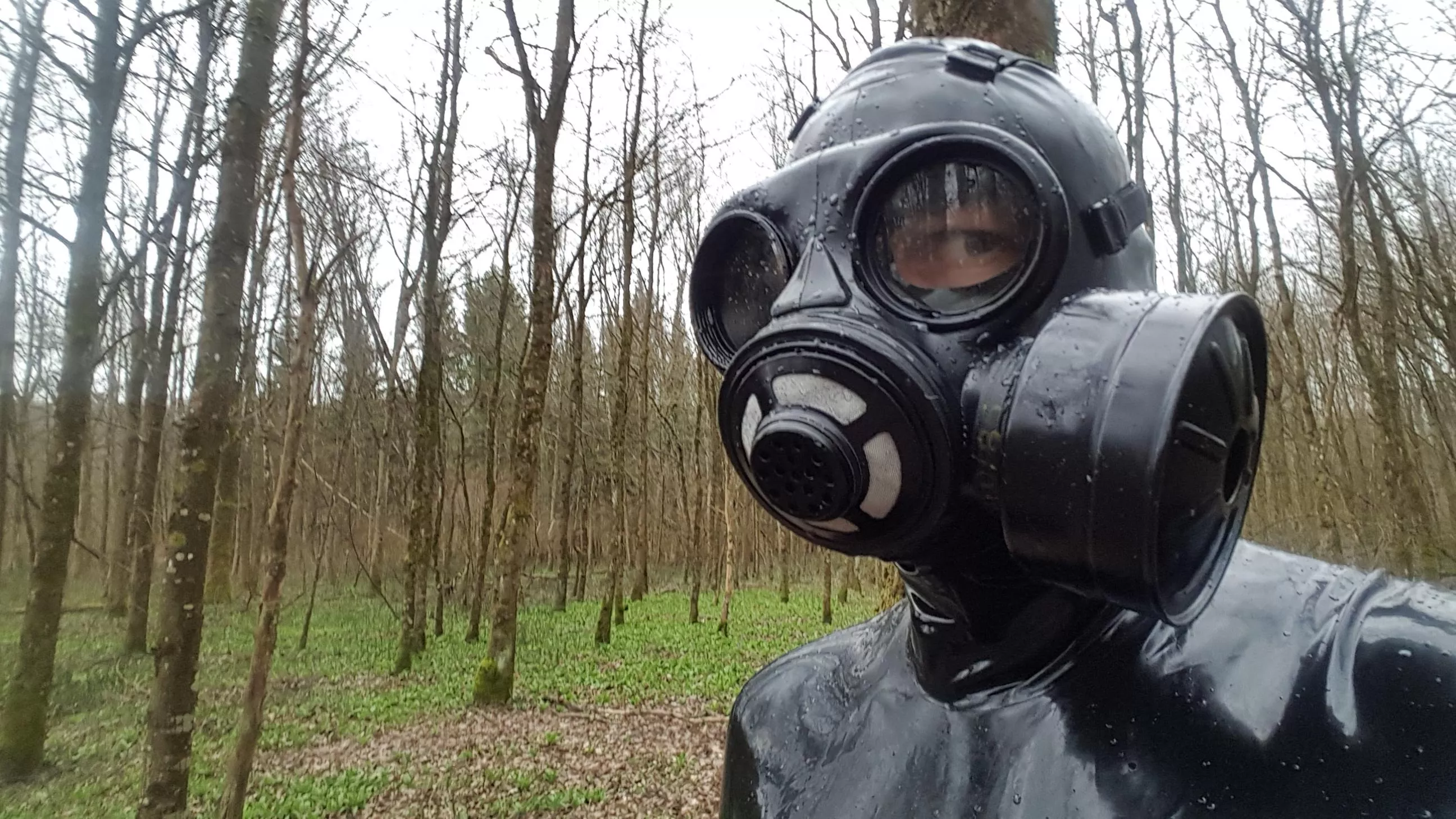 Heavy rubber in the forest [OC]