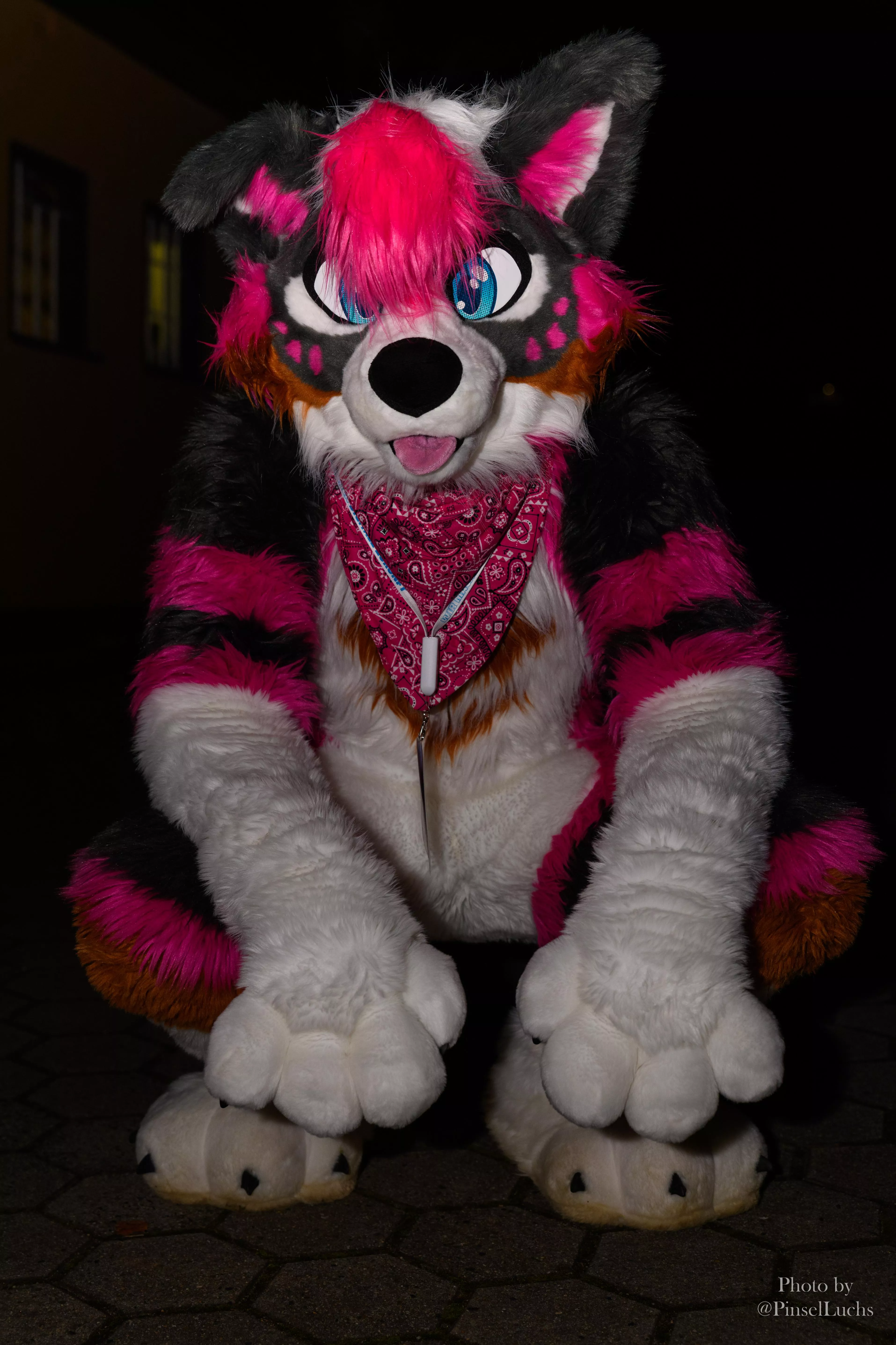 Hello down there, how are ya! (Fursuiter: @Knallstock / Photographer: @PinselLuchs)