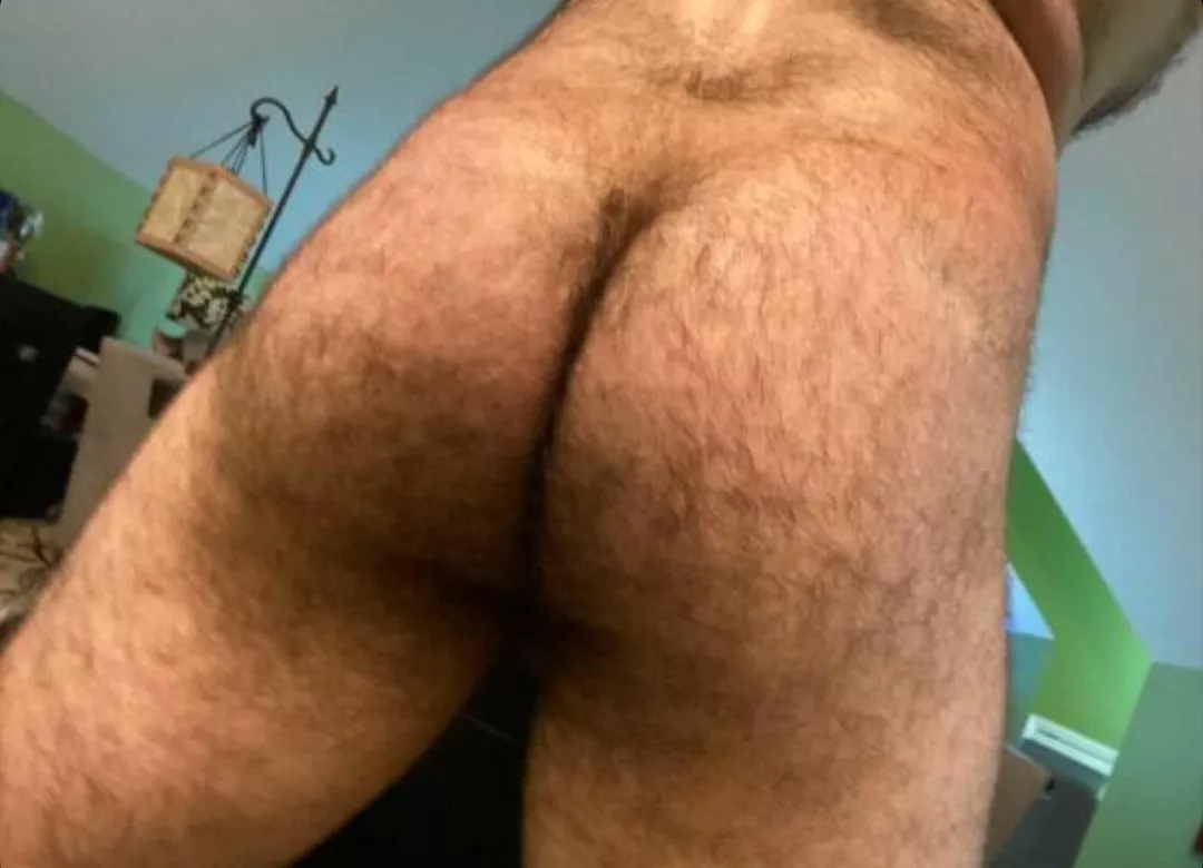 Hello from my hairy butt.