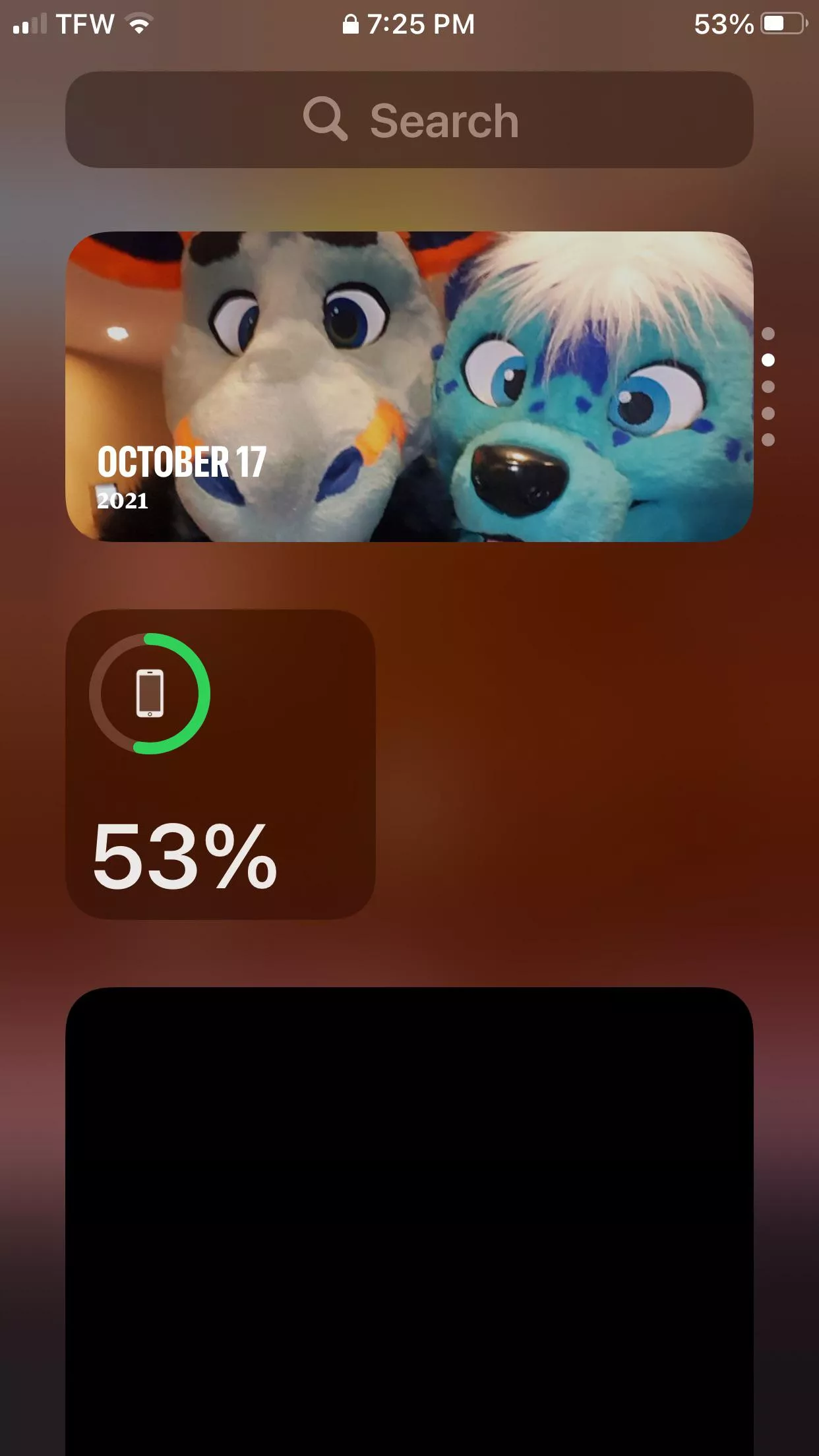 Help. I need to know how to get rid of this display on my iPhone because Iâ€™m a closeted furry and you know.