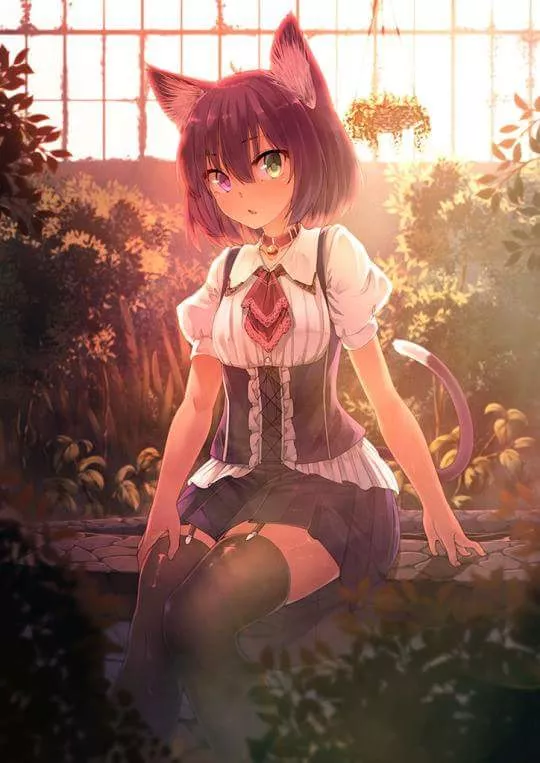 Heterochromia and ZR in a garden