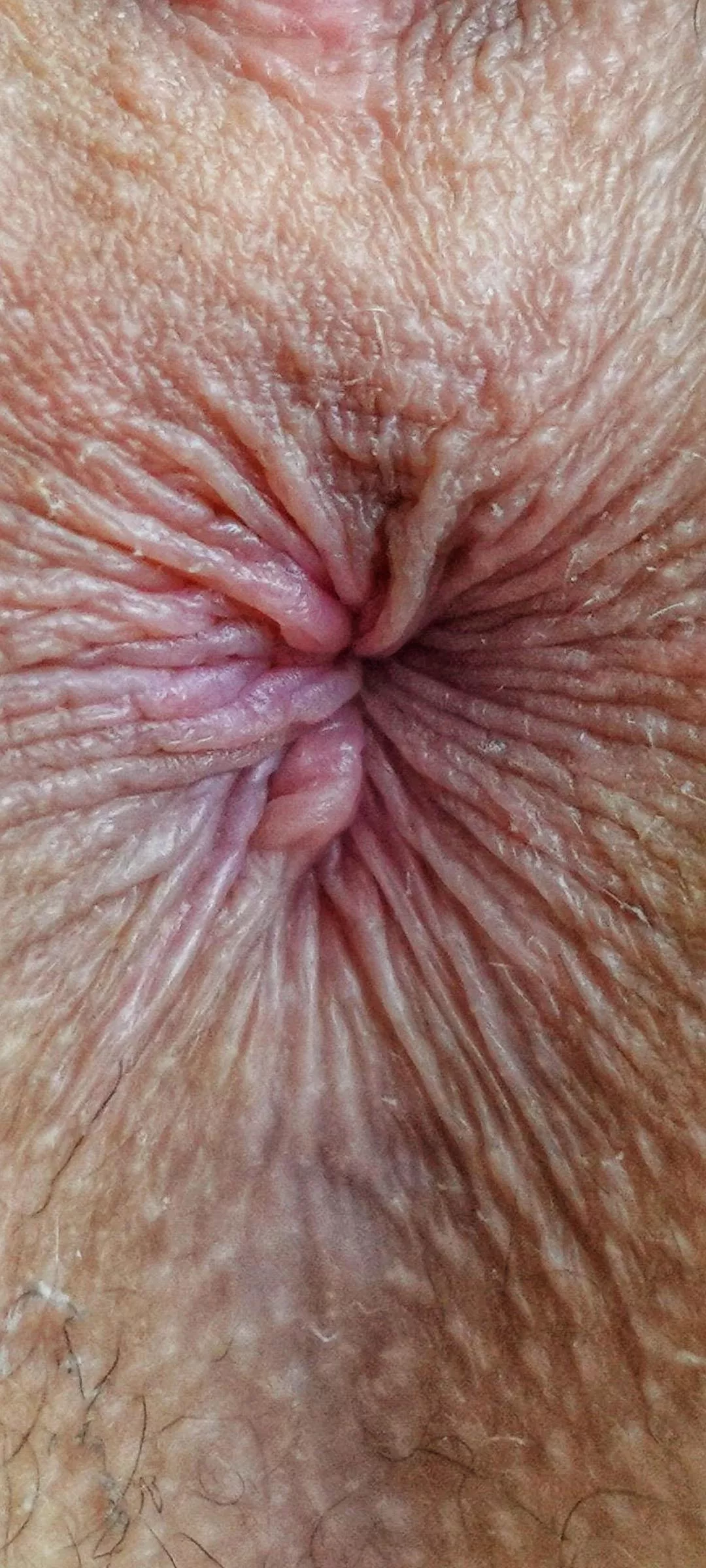 hey guys I have a wallpaper for you on the phone - my sweet and tight anus - you can lick it and always have it with you - it's already itchy ... Put a hard cock in my ass!