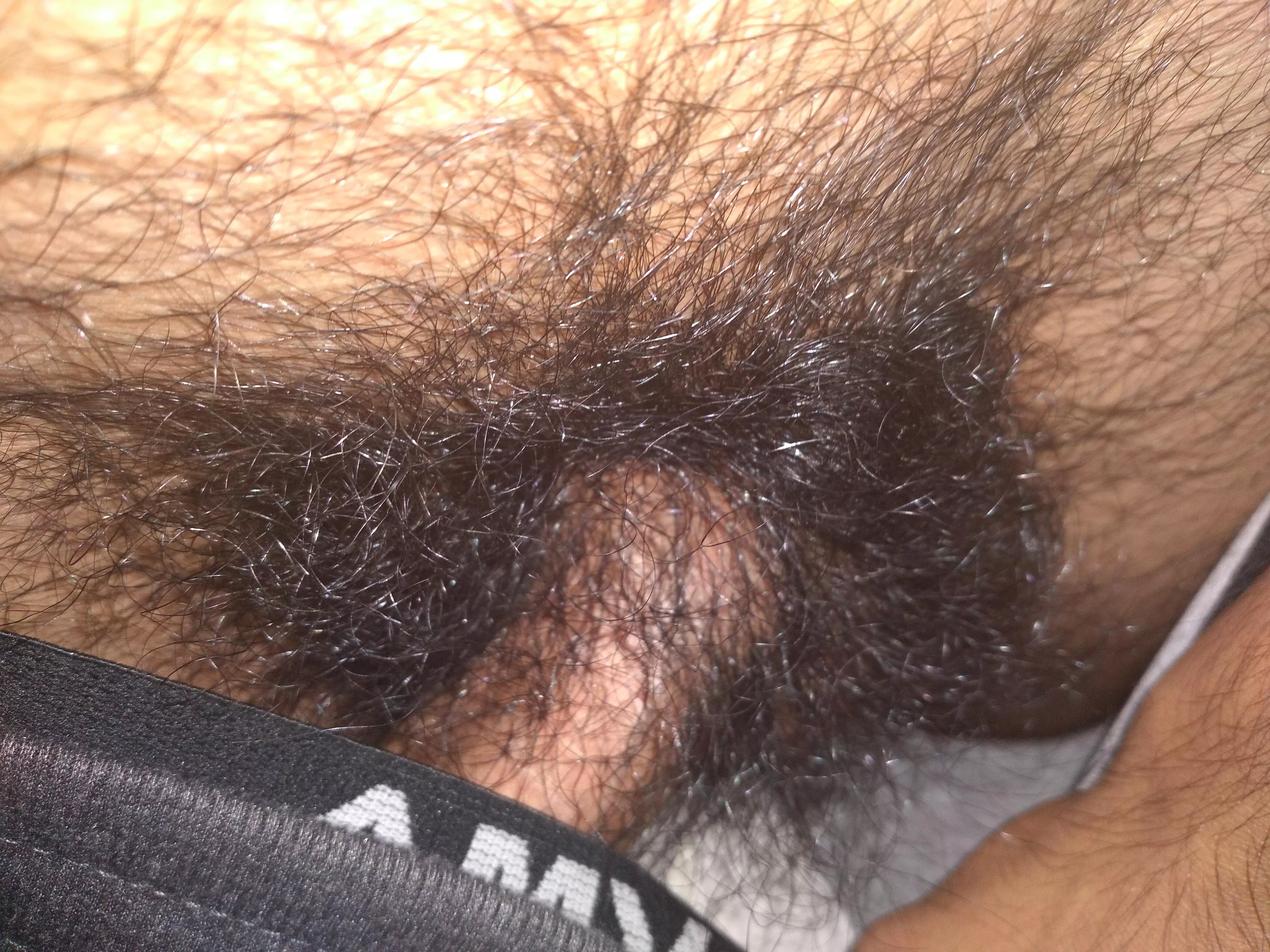 Hey PMs open for other hairy guys