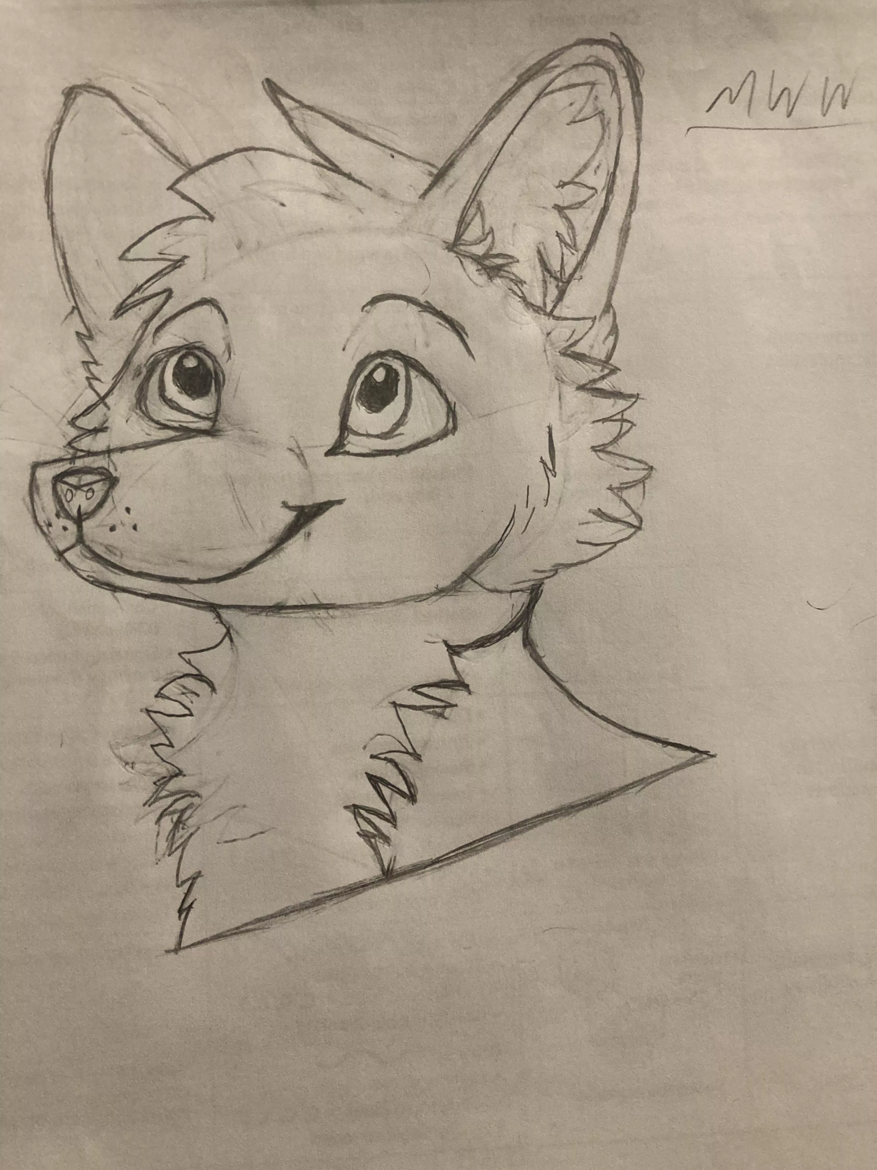 Hey! This is my first time posting and this is my first time drawing! Here you go :3