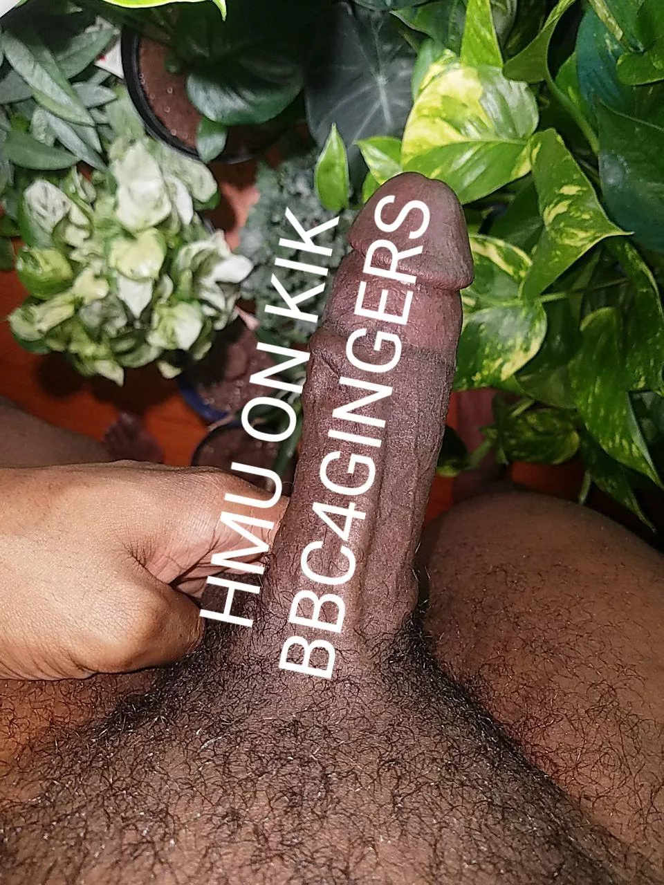 HMU Hairy Ass Sissies 😍