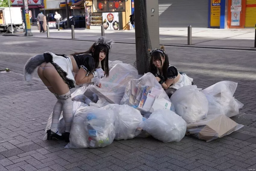 Homeless cats in Tokyo