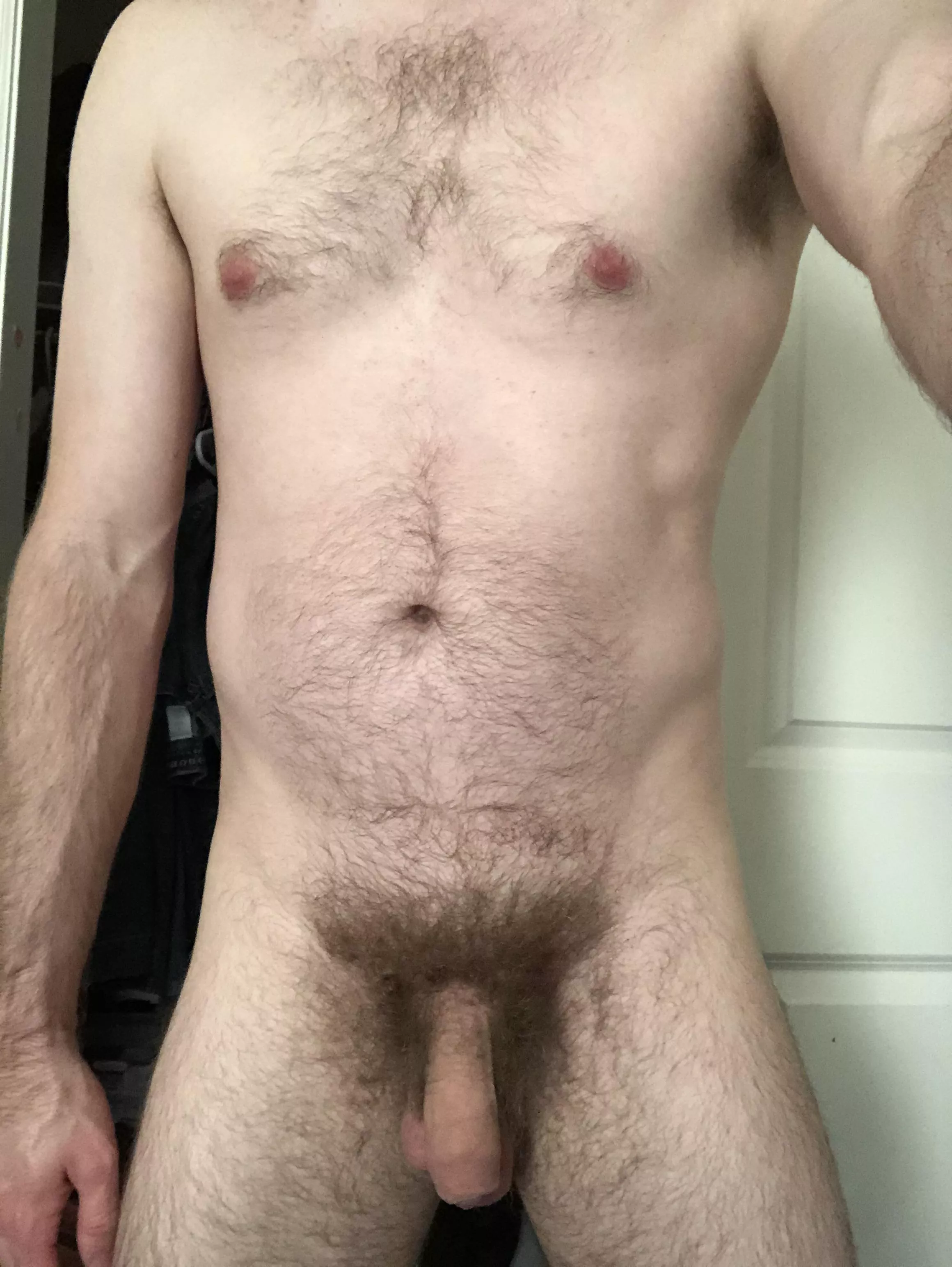 Hopefully somebody out there likes furry dadbods [38]