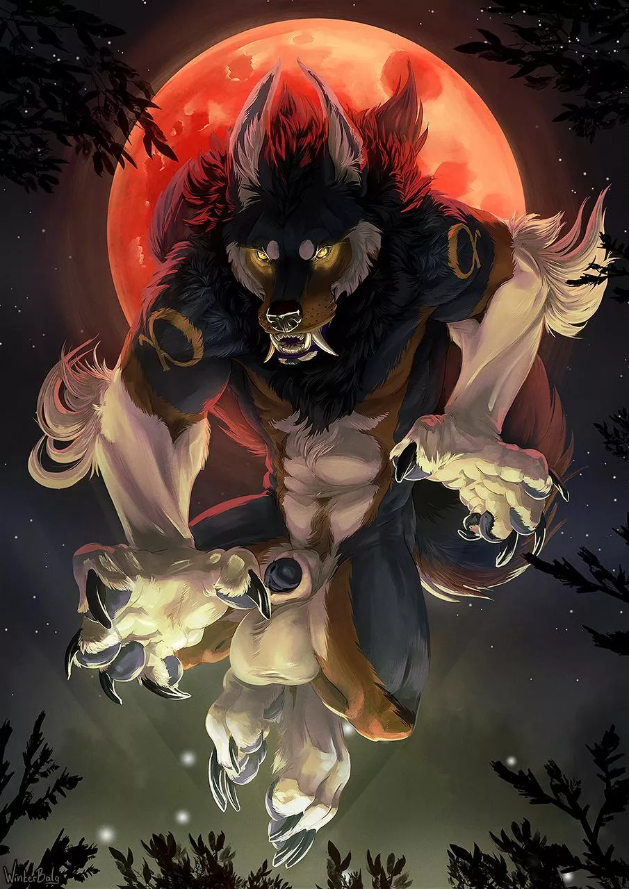 Horny Werewolf (Winterbalg)