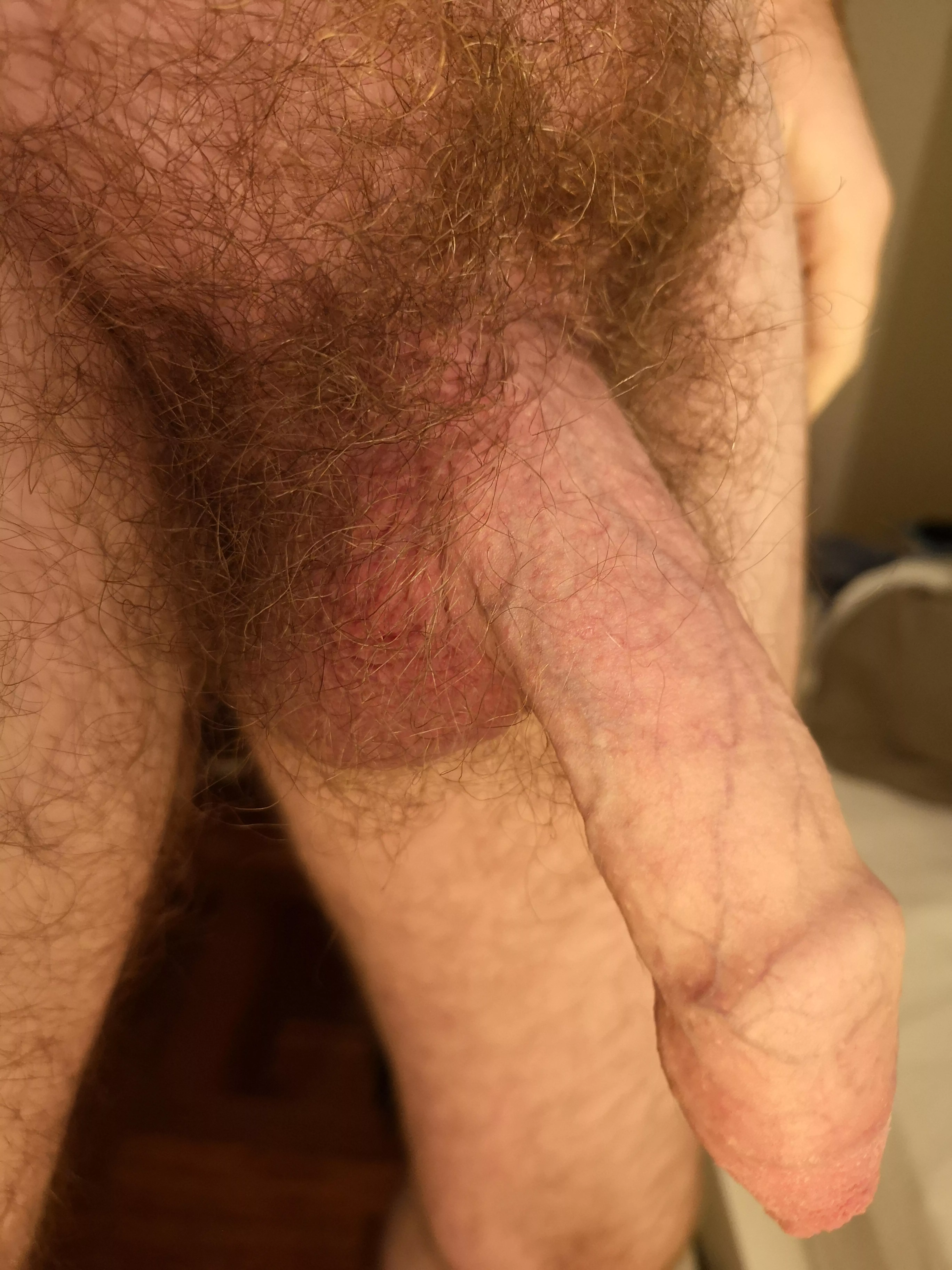 Hot bush with uncut dick