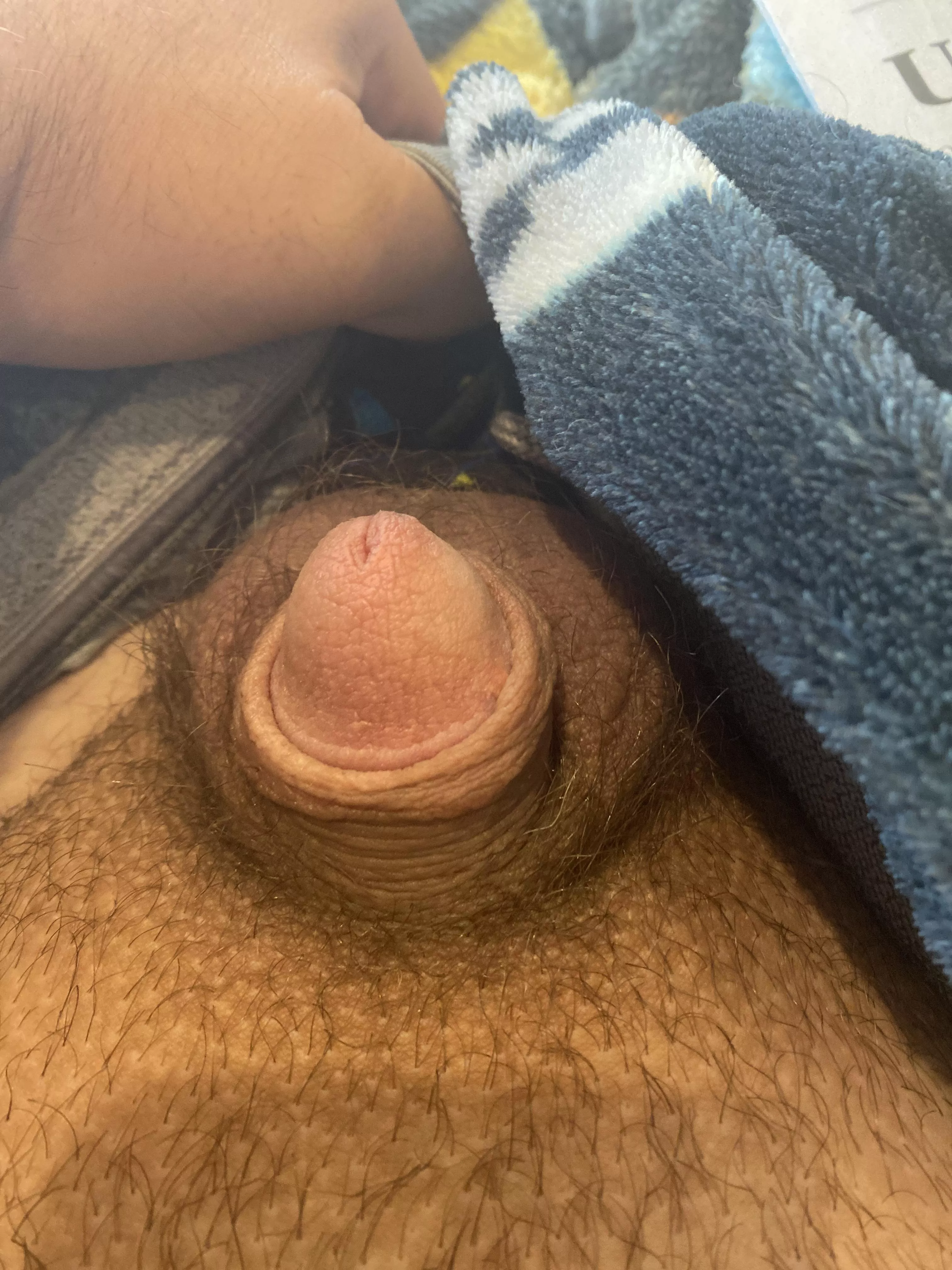 Hot dad with a tiny micropenis (45).