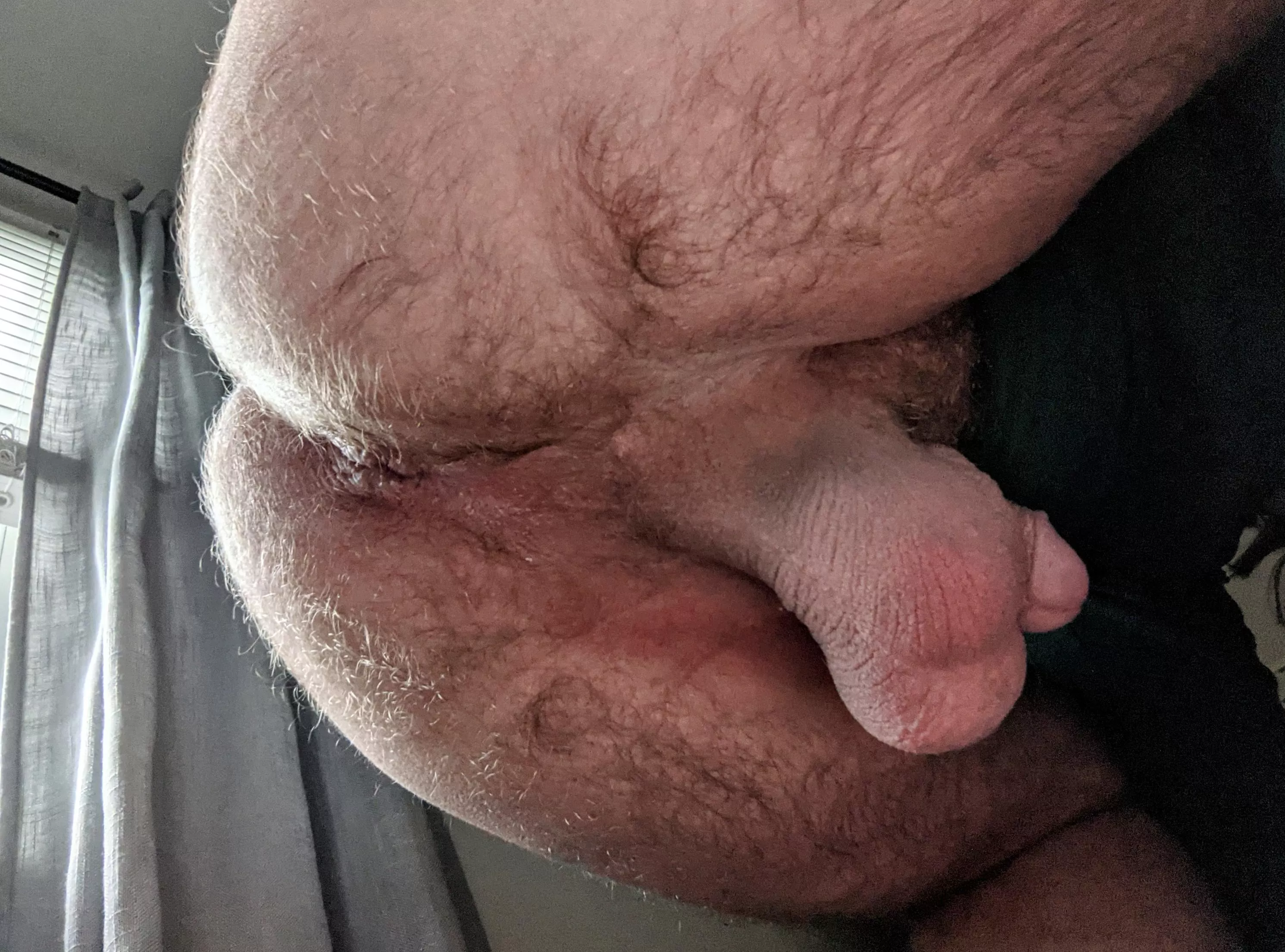 How do you feel about my heavy bull balls?