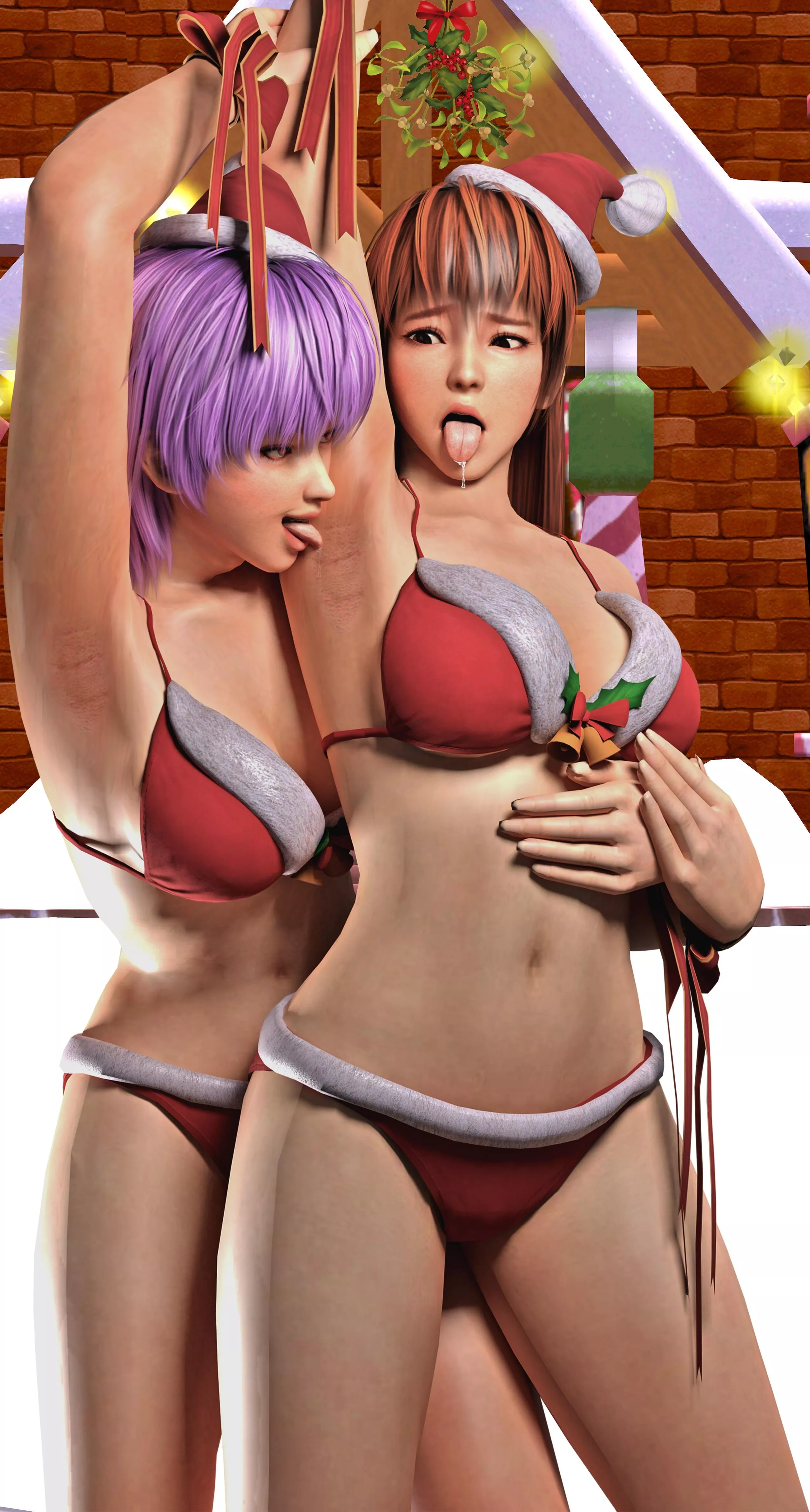 How Kasumi and Ayane Celebrate Every Christmas [Dead or Alive]