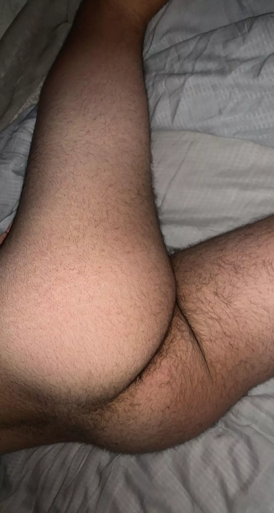 Howâ€™s my hairy ass looking??