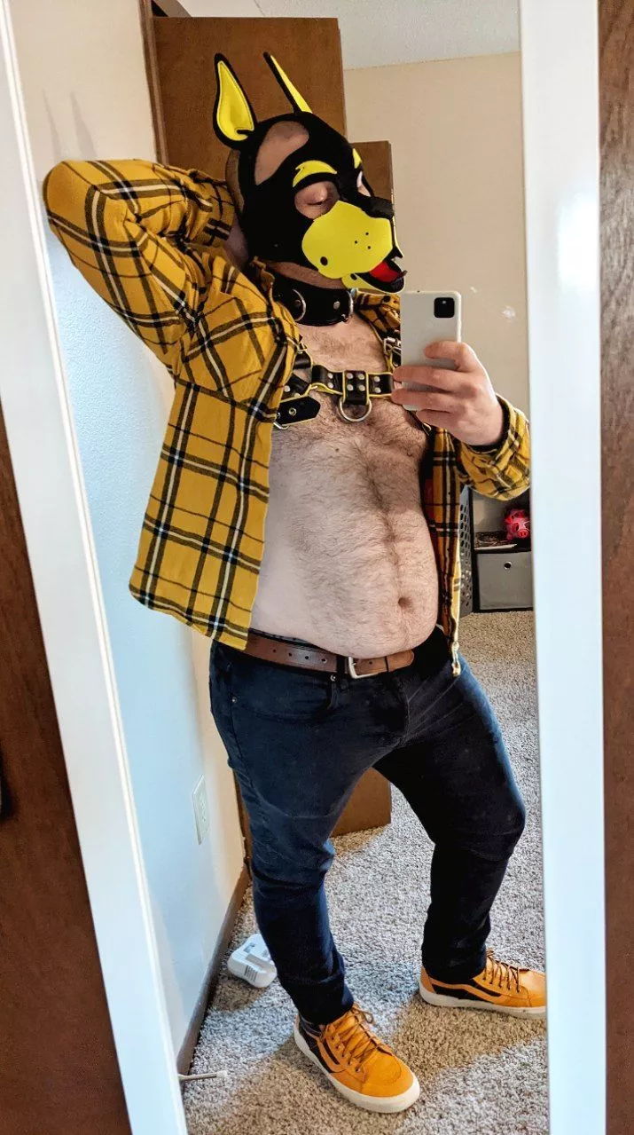 How's my outfit, pups?