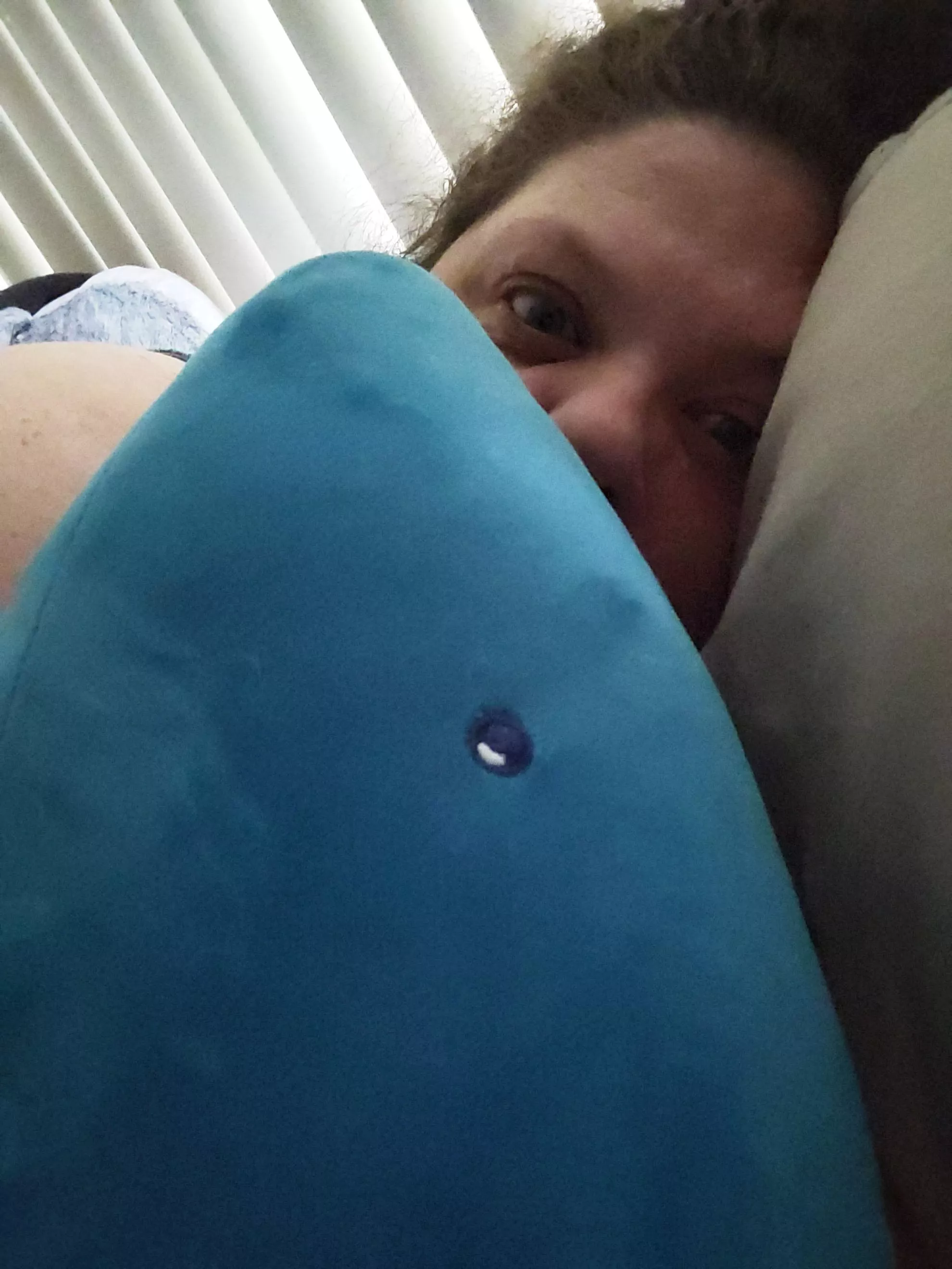 I CAN'T GO TO WORK TODAY! SHARKY IS EATING MY FACE AND I CAN'T ANSWER PHONES