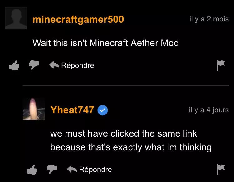 I dont think this is minecraft aether mod