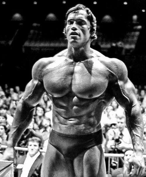 I found the model for every stacked seme in a manhwa/webtoon. Arnold Schwarzeneggerâ€”Mr Olympia, 1975