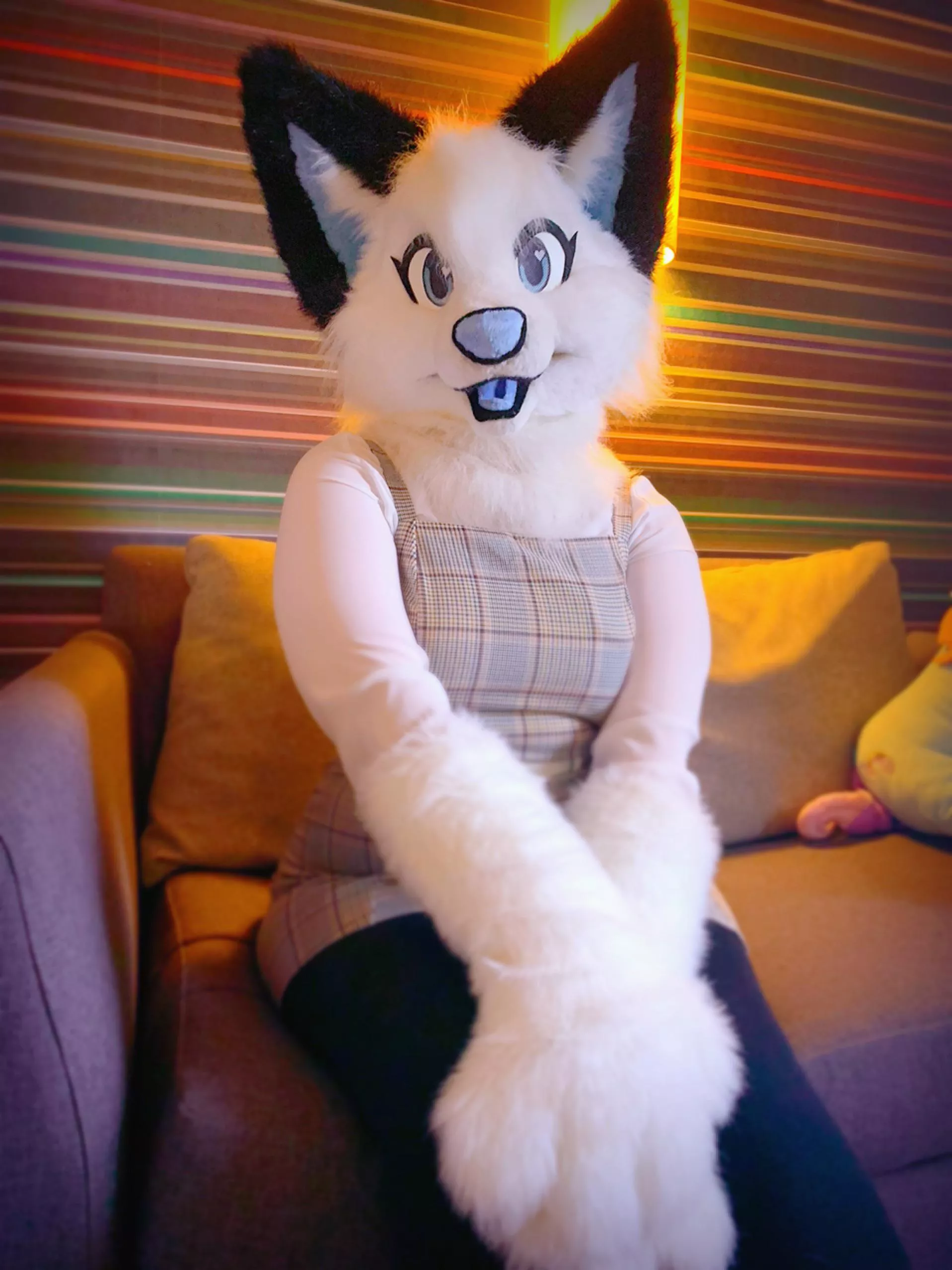 I got my new fursuit Nevada today, what accessories should I get her?