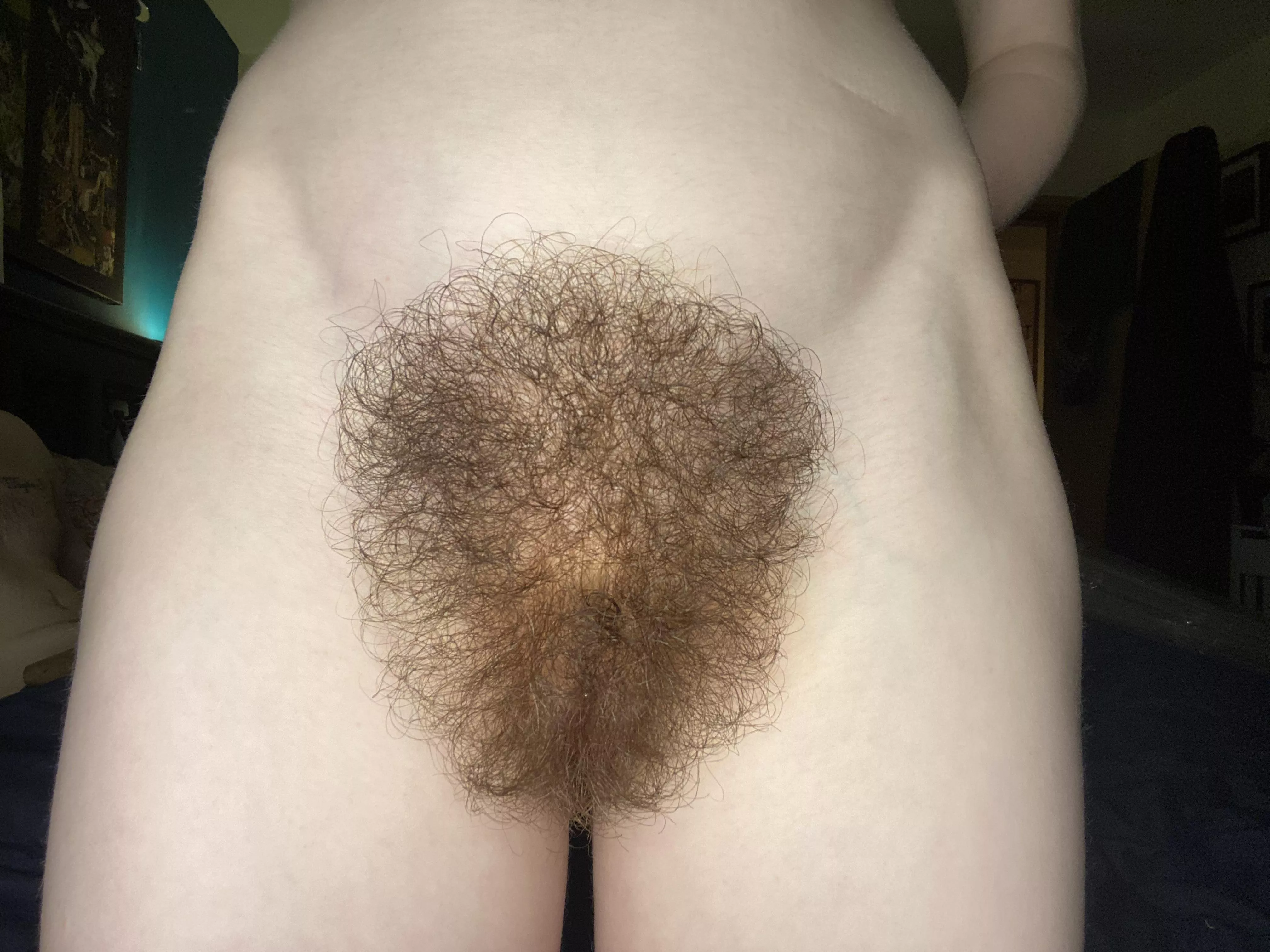 I have a hairy pussy fetish that I am living outâ€¦ do you have one too? ðŸŒ³