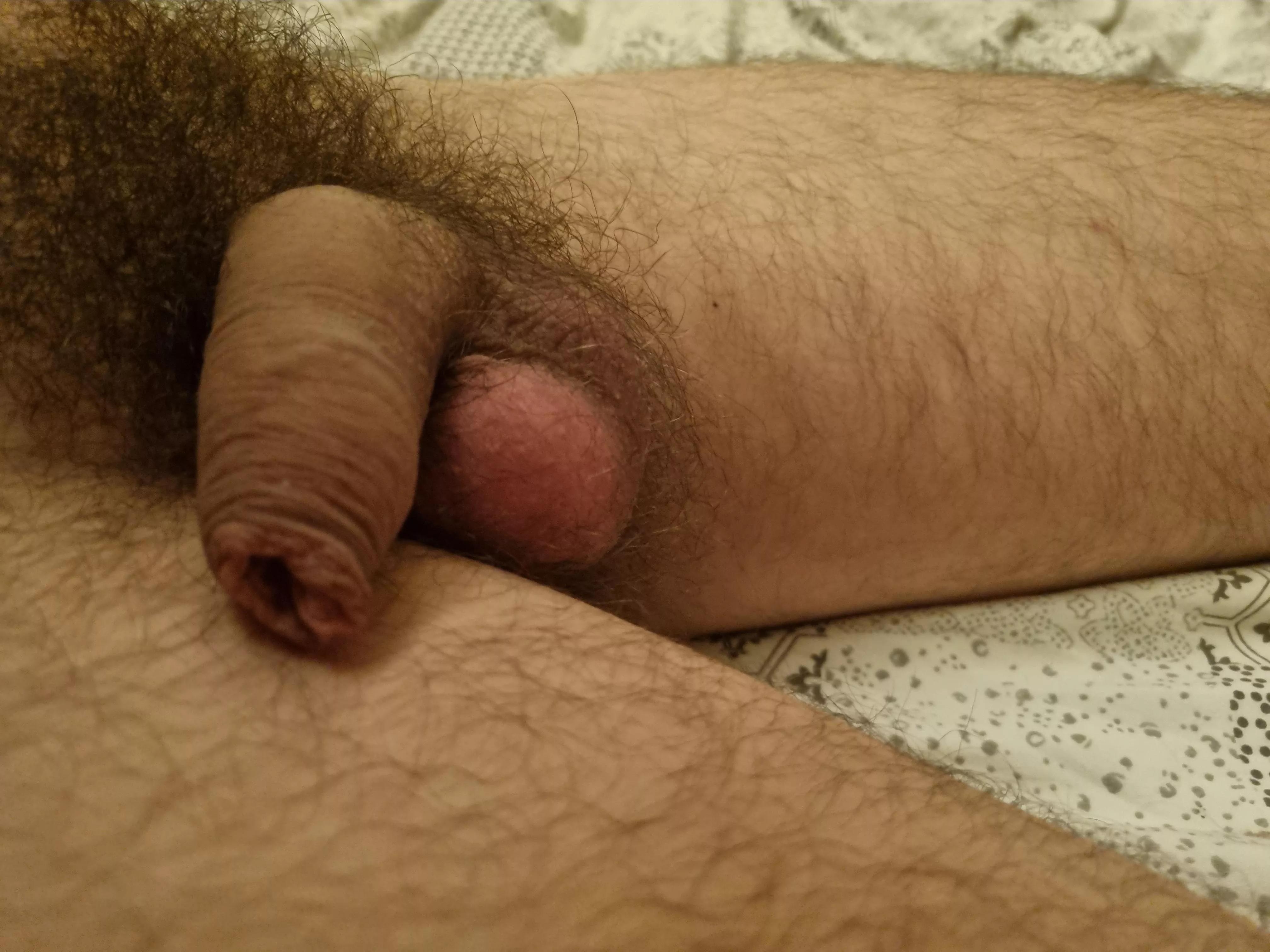 I love looking at cock. Do you?