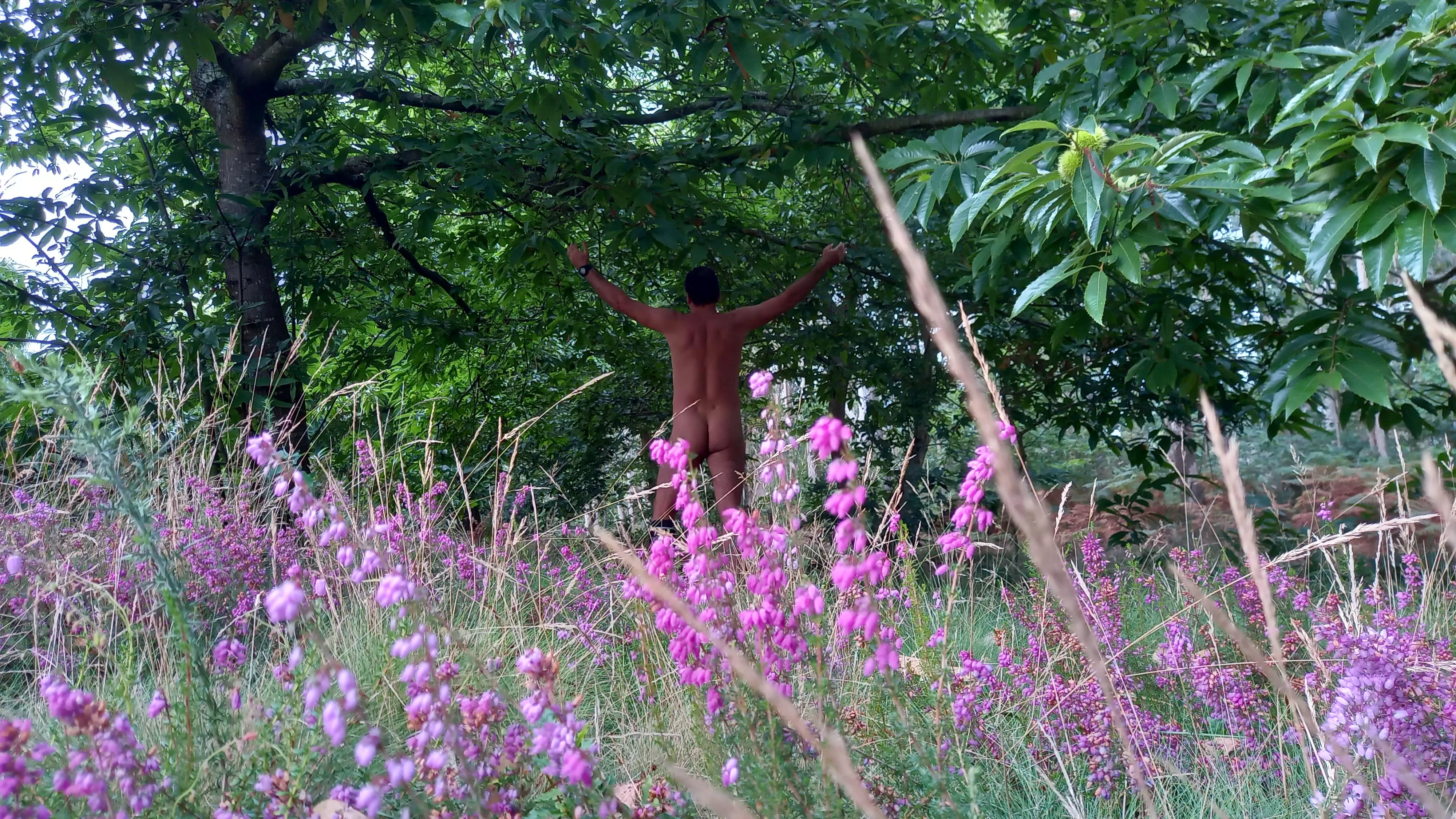 I love NUDE in NATURE for this a[m]azing tings ❤🌳🌊