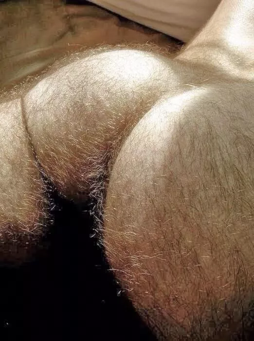 I want to spread his cheeks open and tongue fuck his hairy hole.