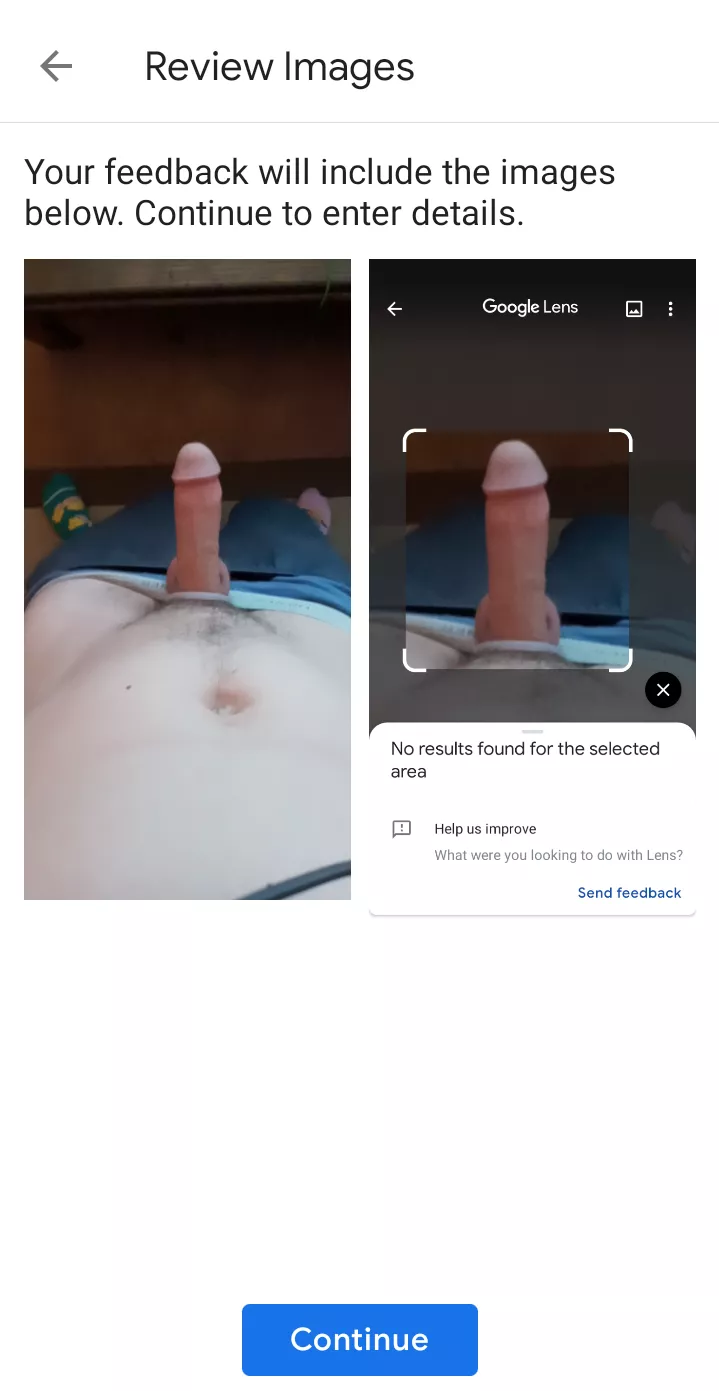 I was curious. The answer is no, google lens does not recognize a penis.