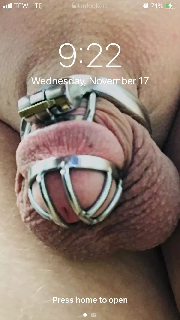 I was told to keep this as my Lock Screen until my chastity sentence ends. 😳