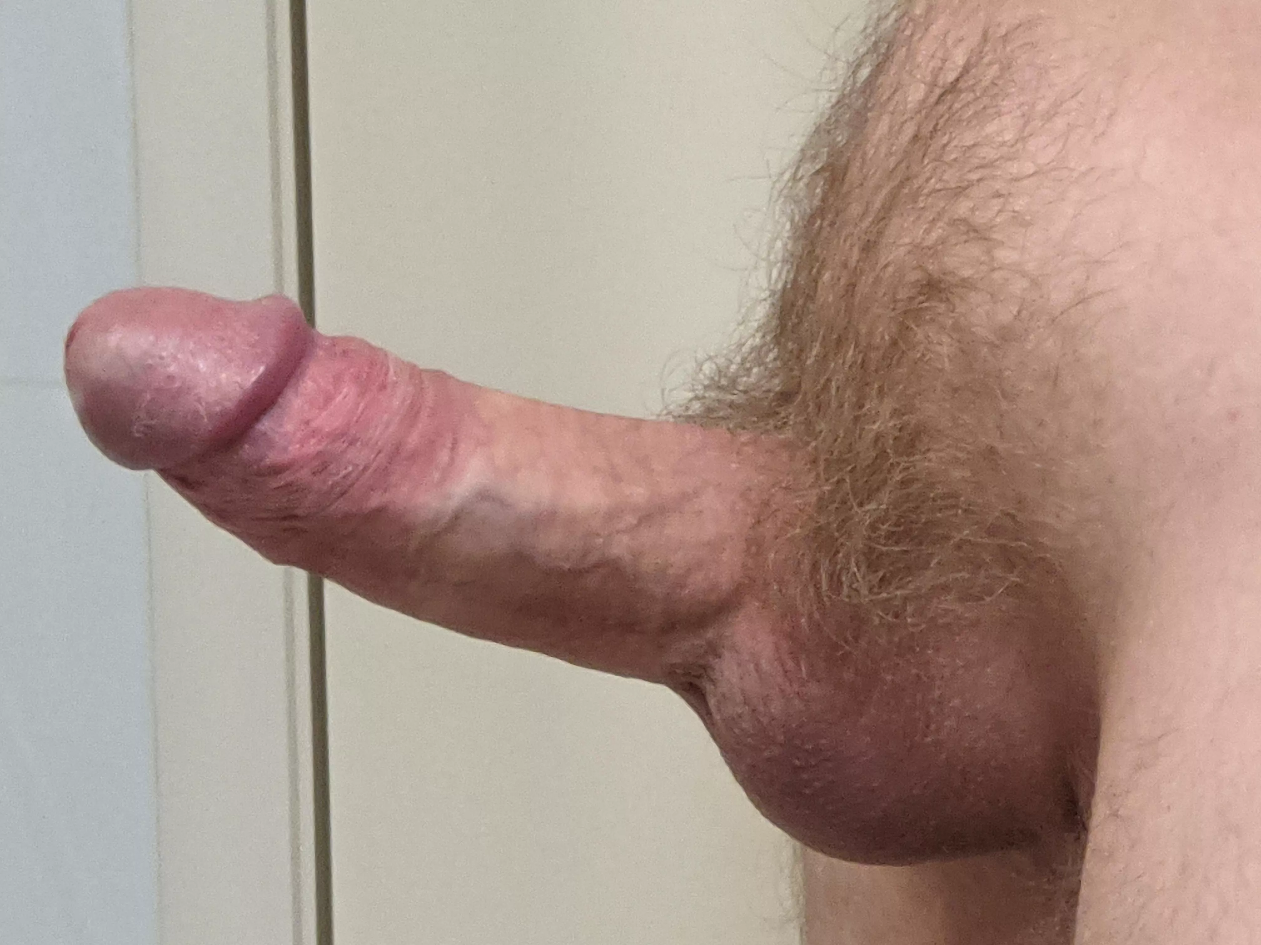 I'd love to have someone suck me off right now, any takers?