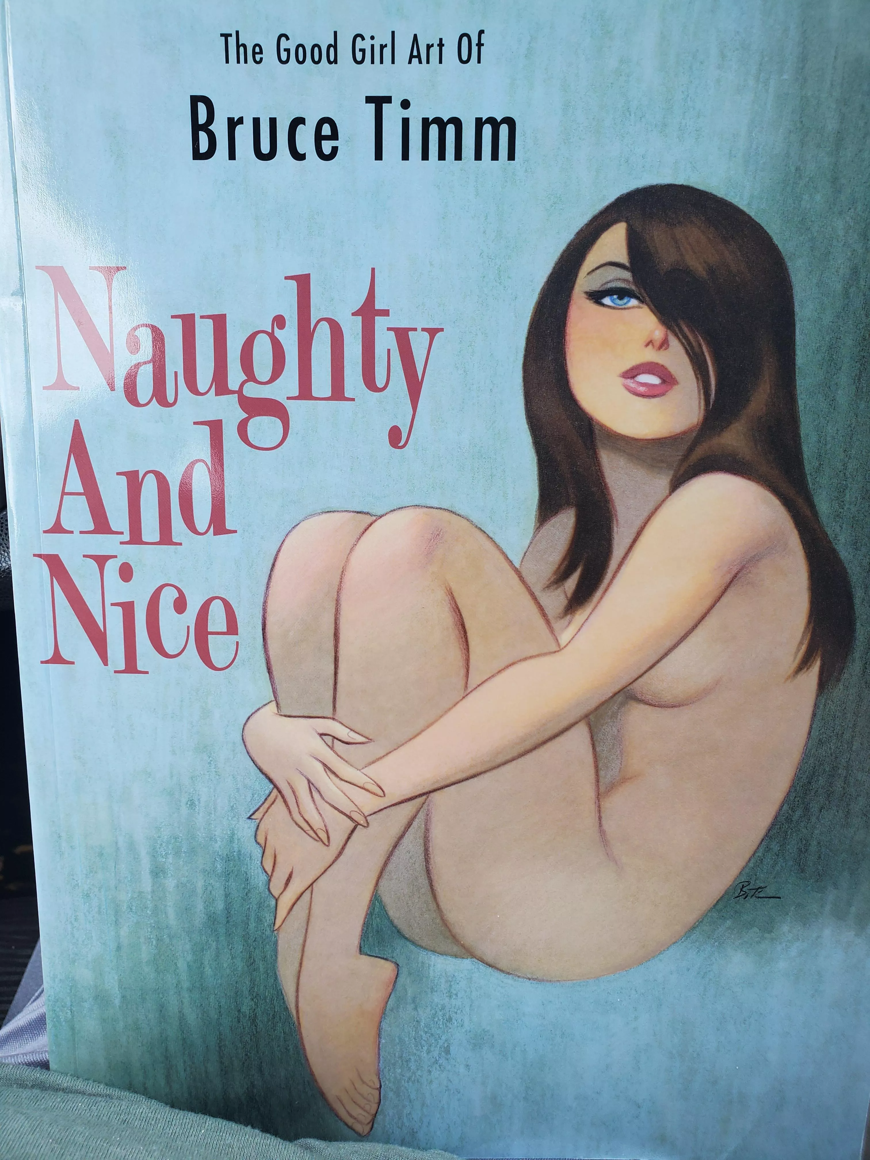 If you're a fan of Bruce Timm you need this book. [The Good Girl Art of Bruce Timm Naughty and Nice]