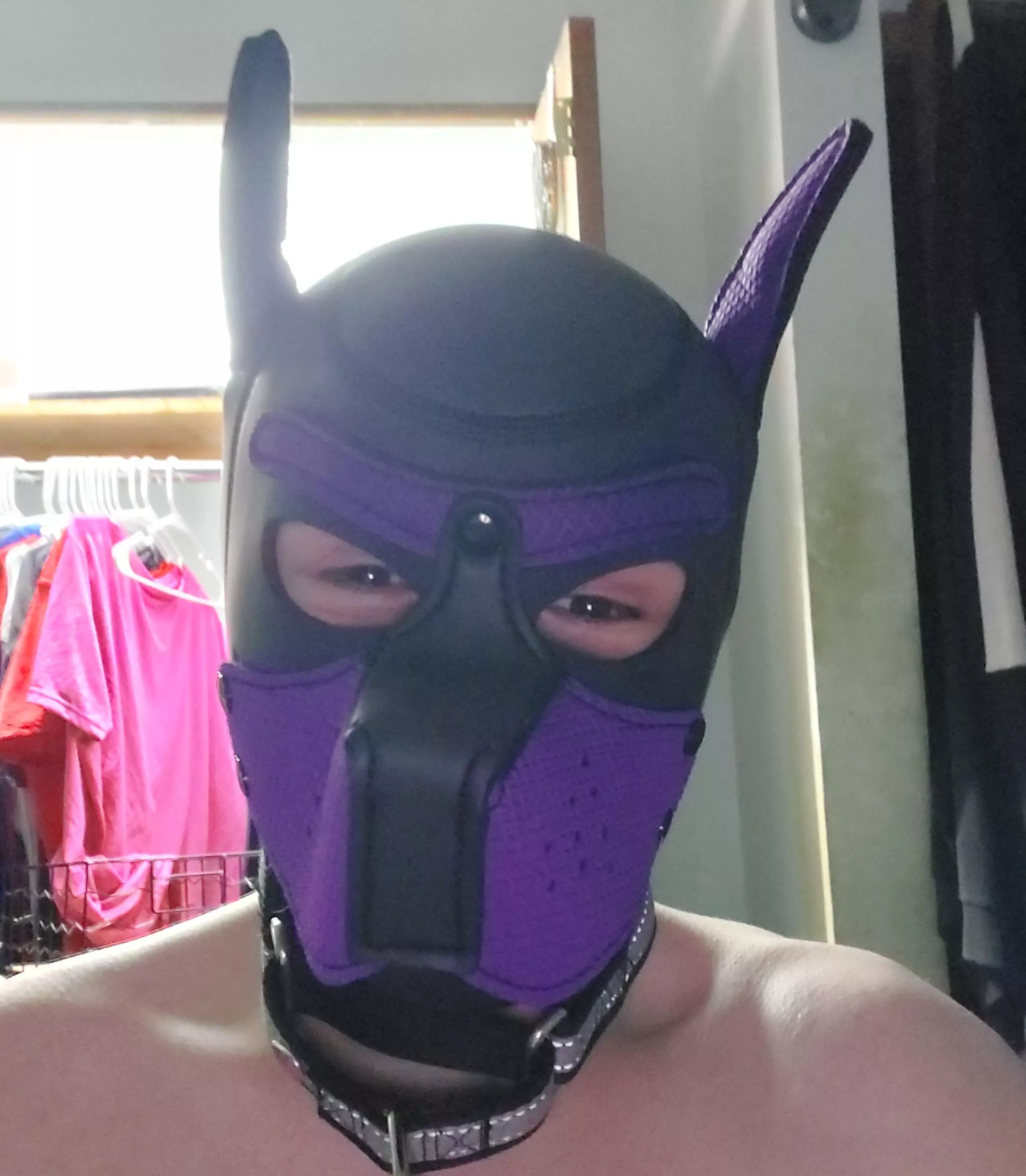 I'm a new shy pup